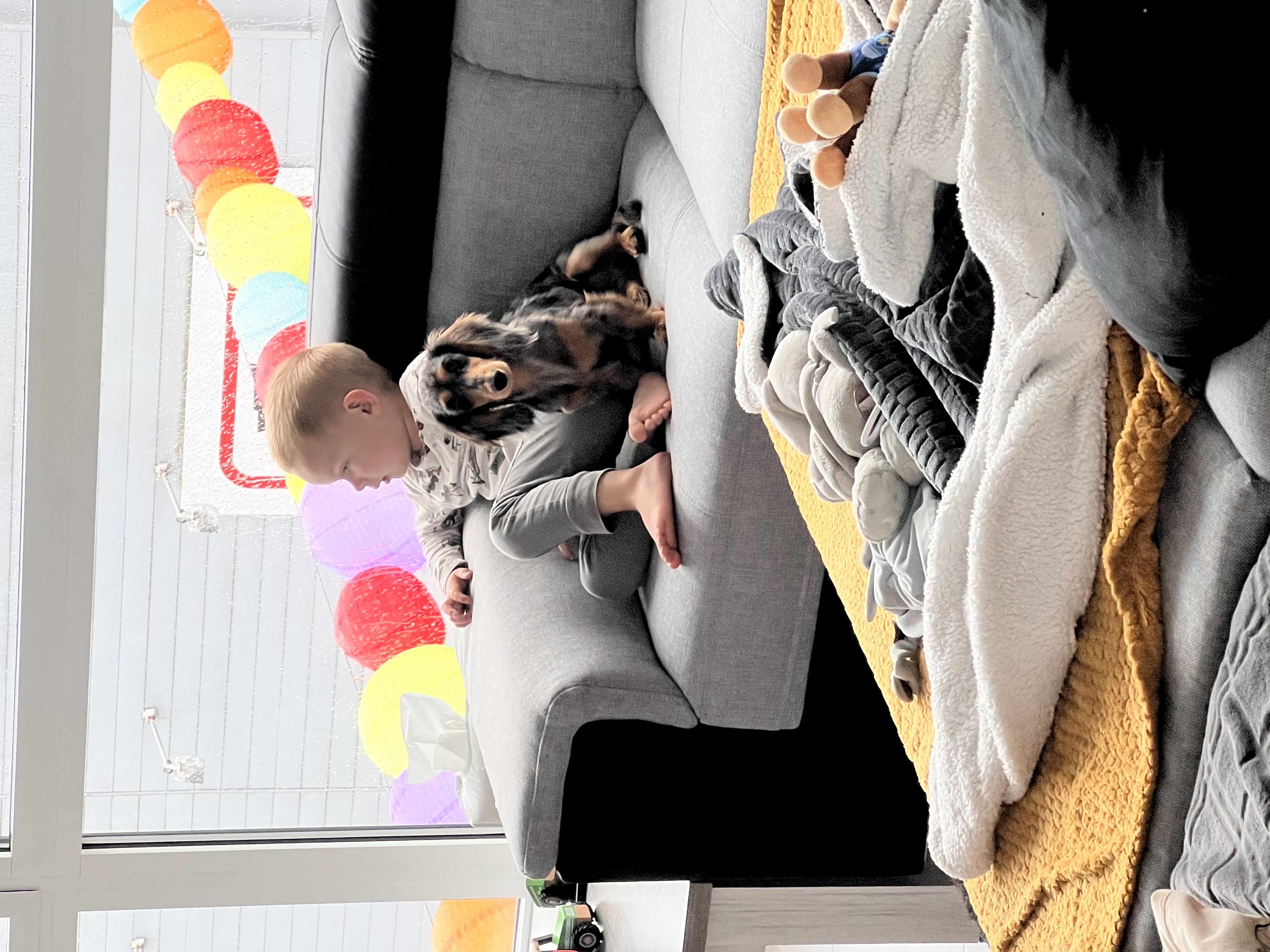 image-18