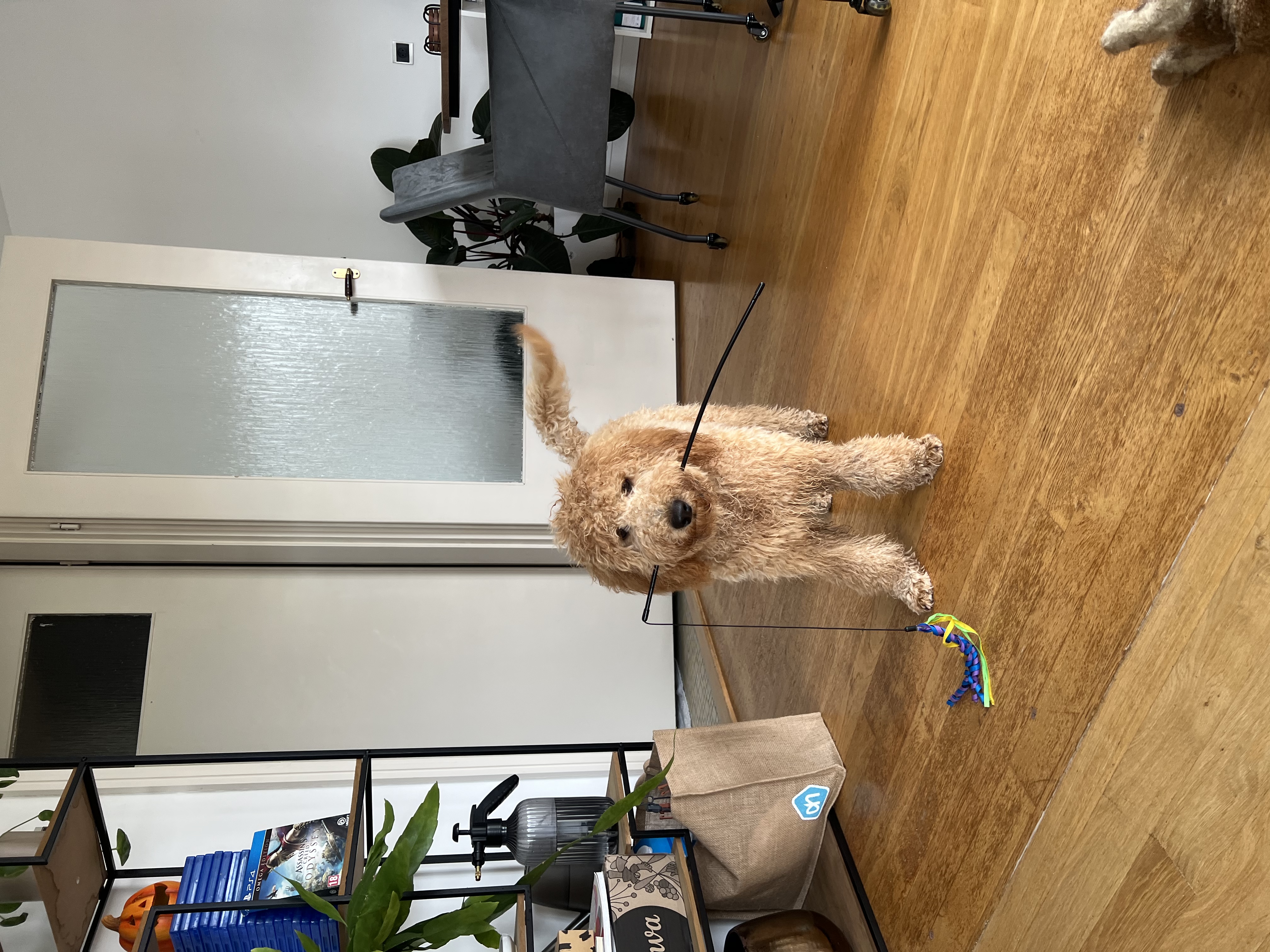 image-16