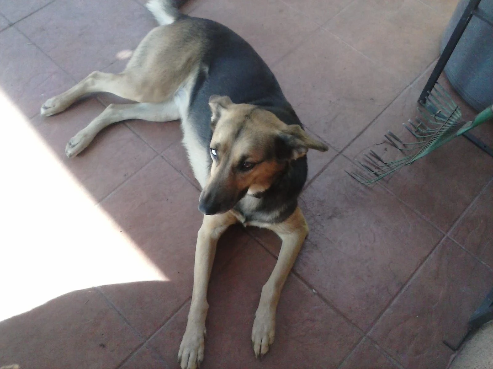 image-5