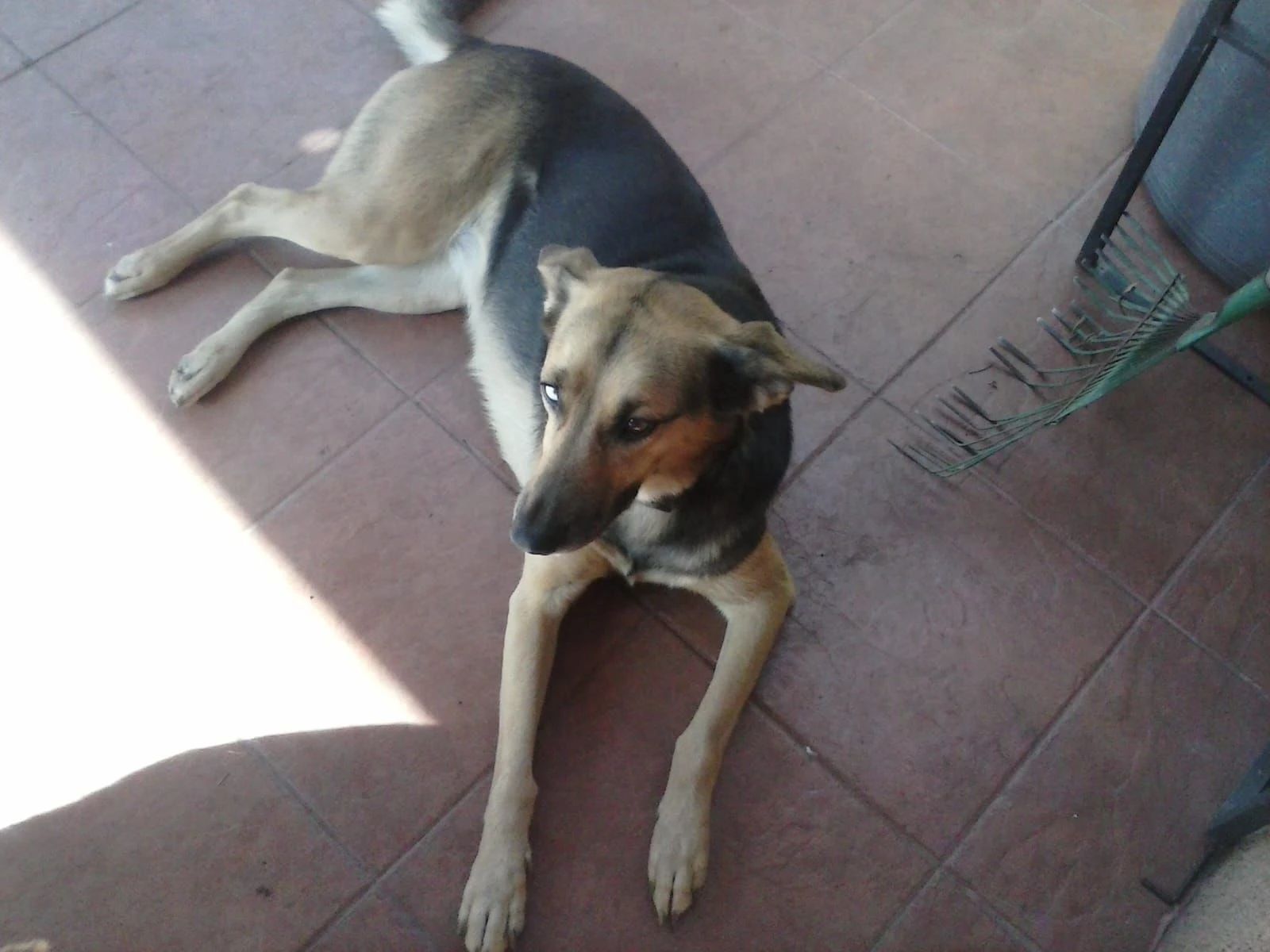 image-5