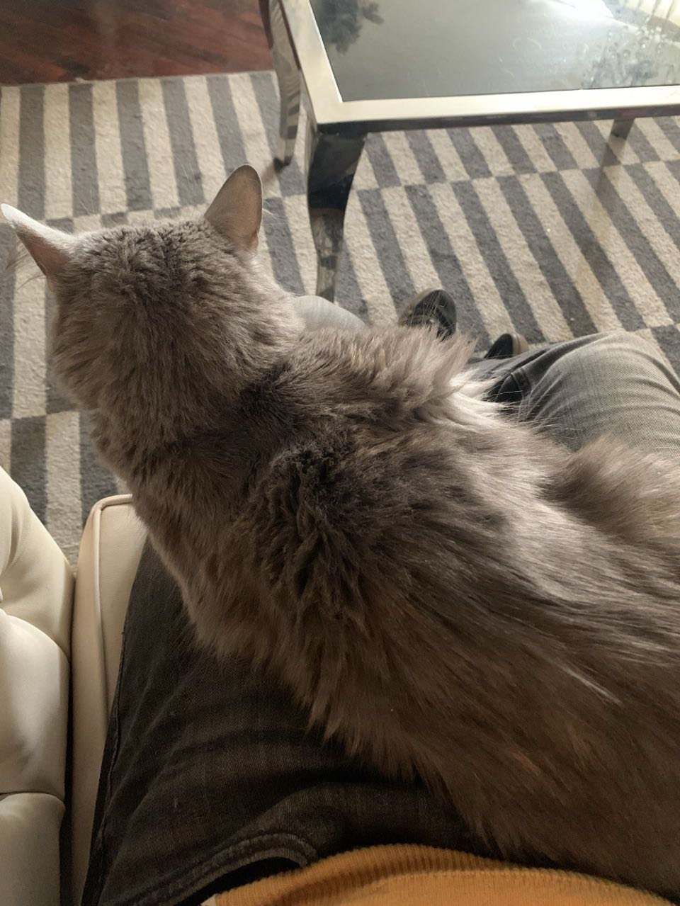 image-8