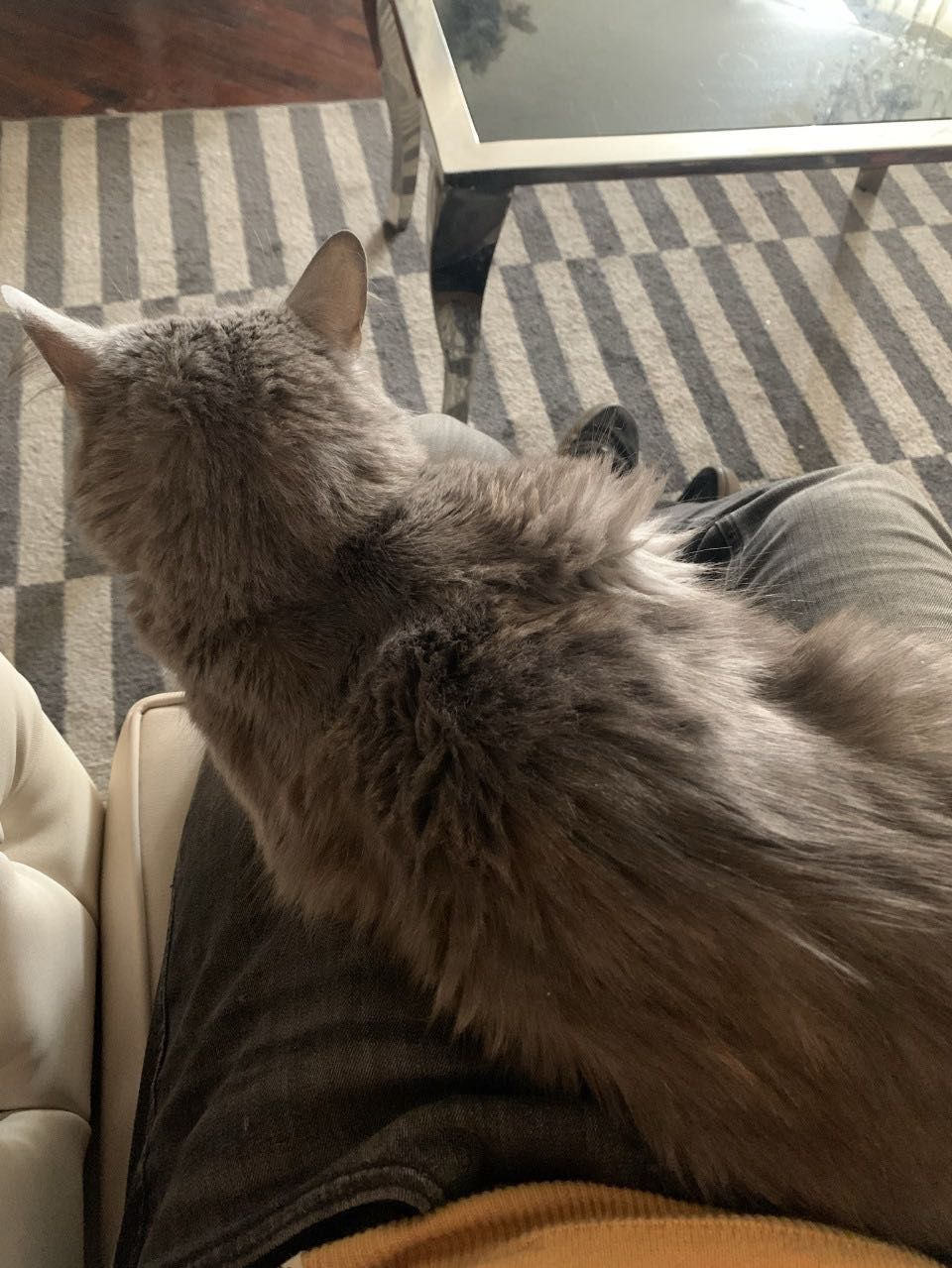 image-8
