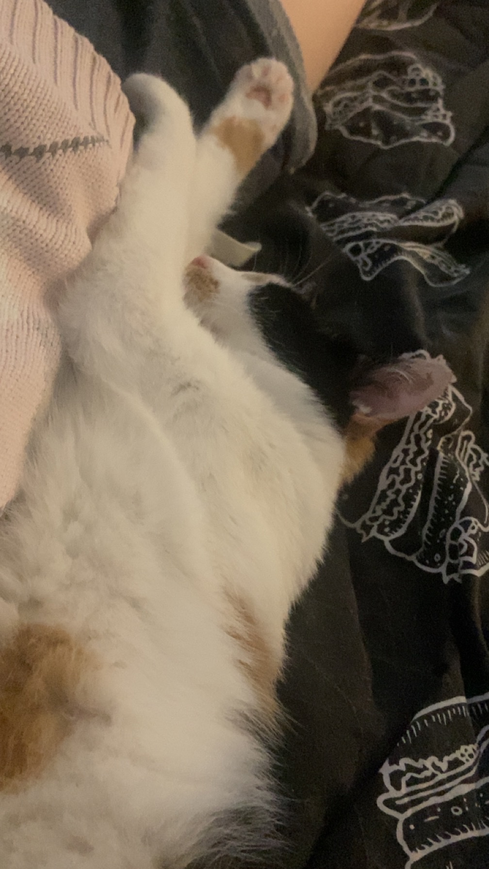 image-4