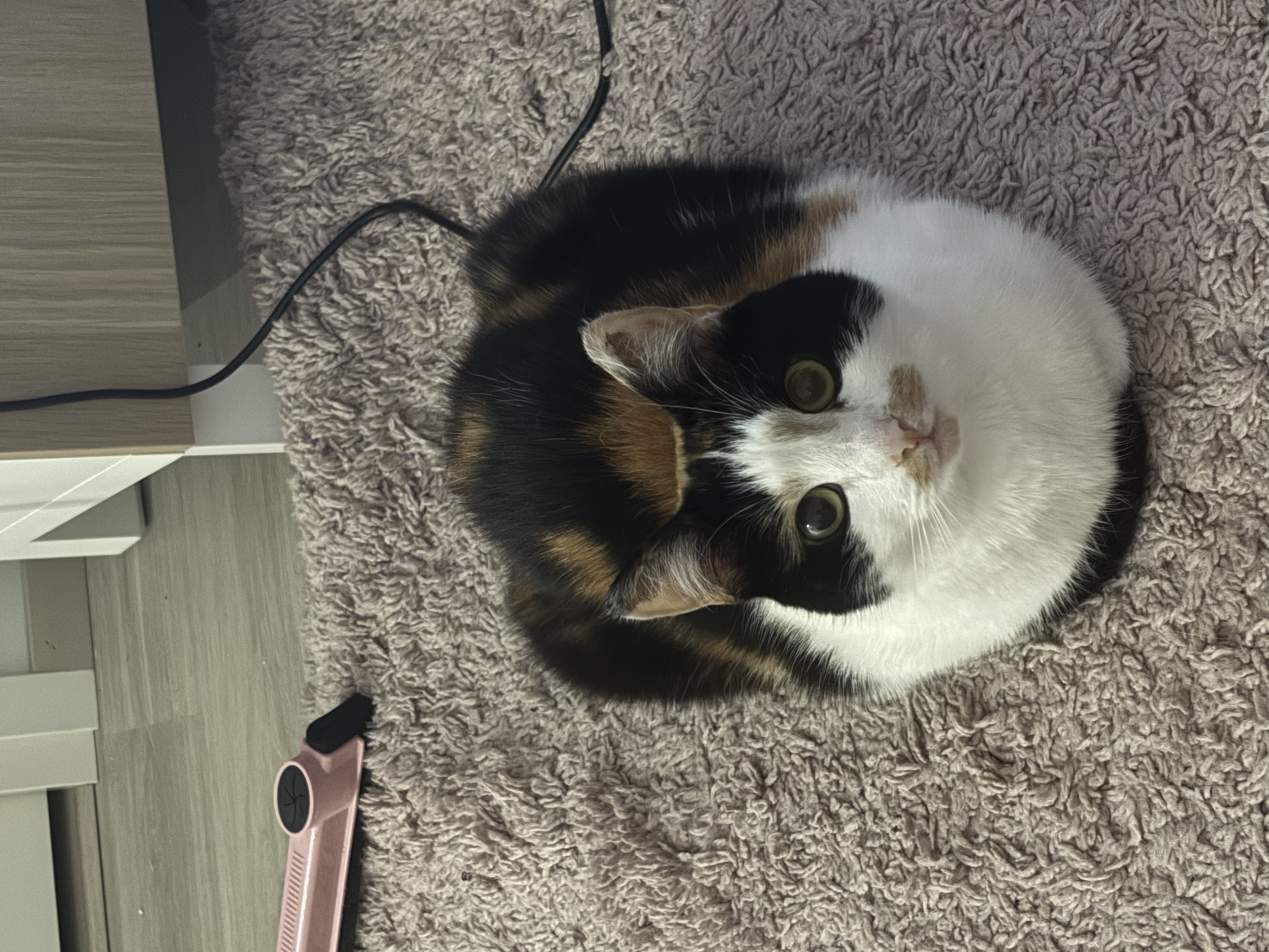 image-6