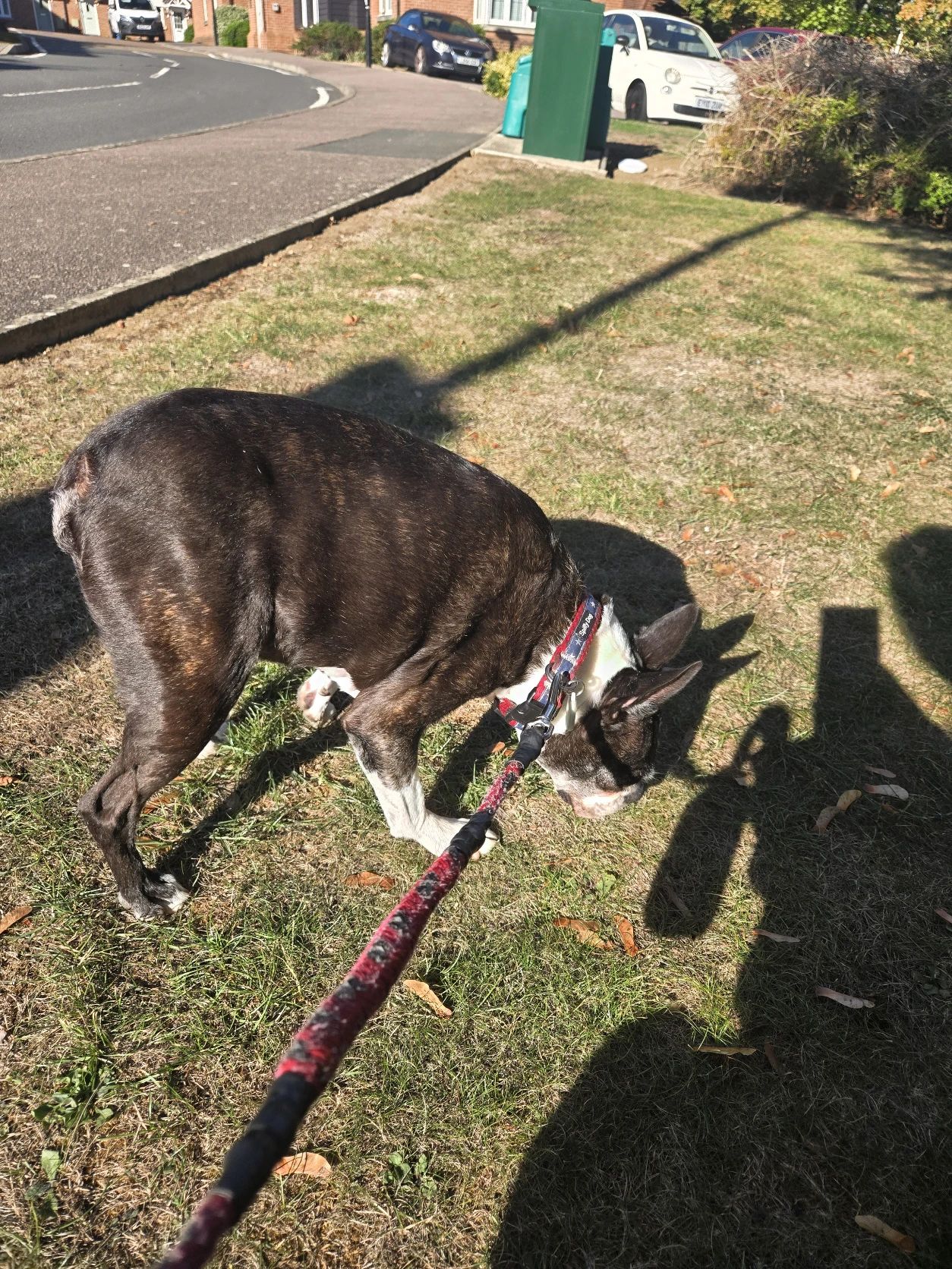image-15