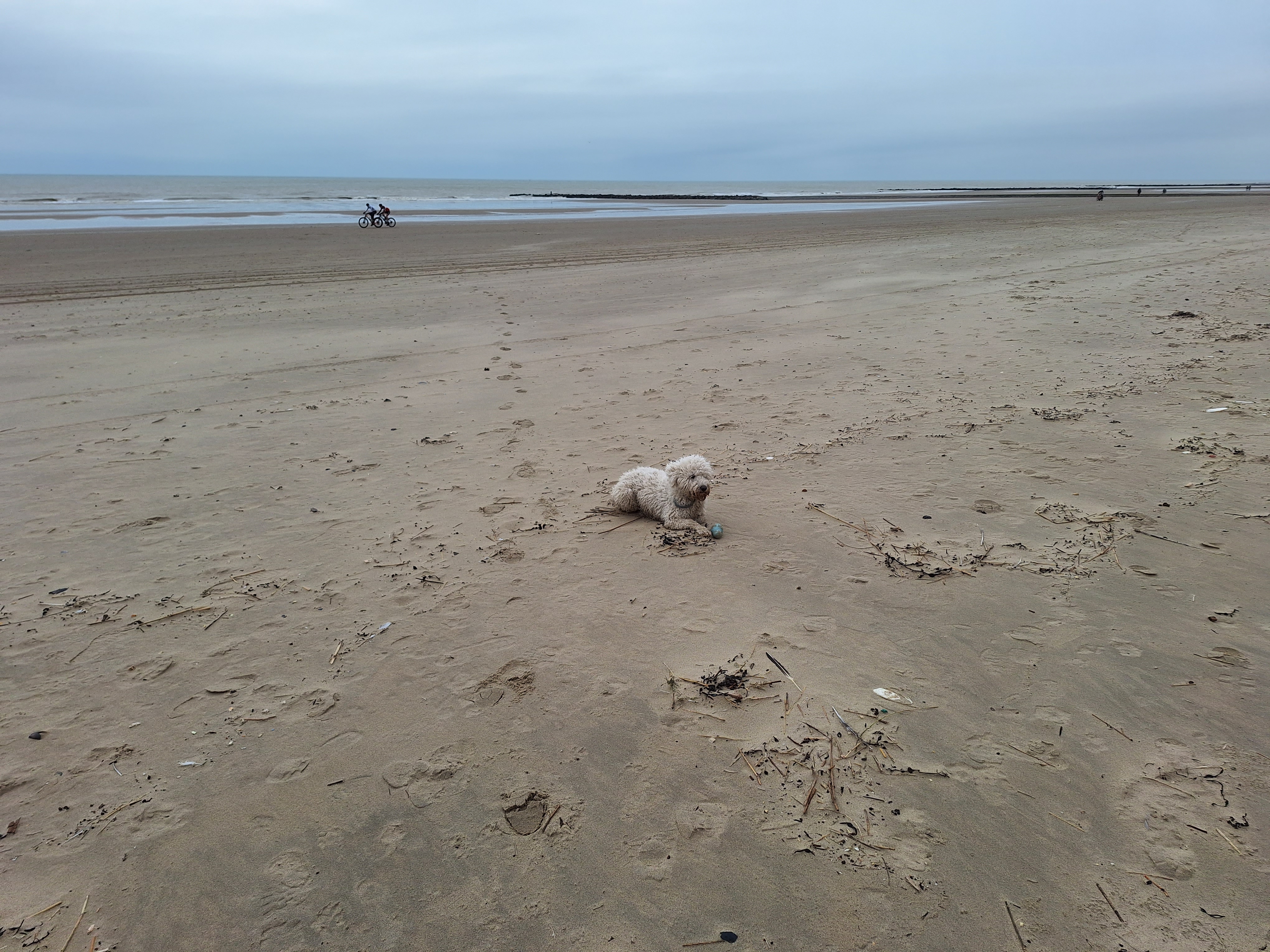 image-8