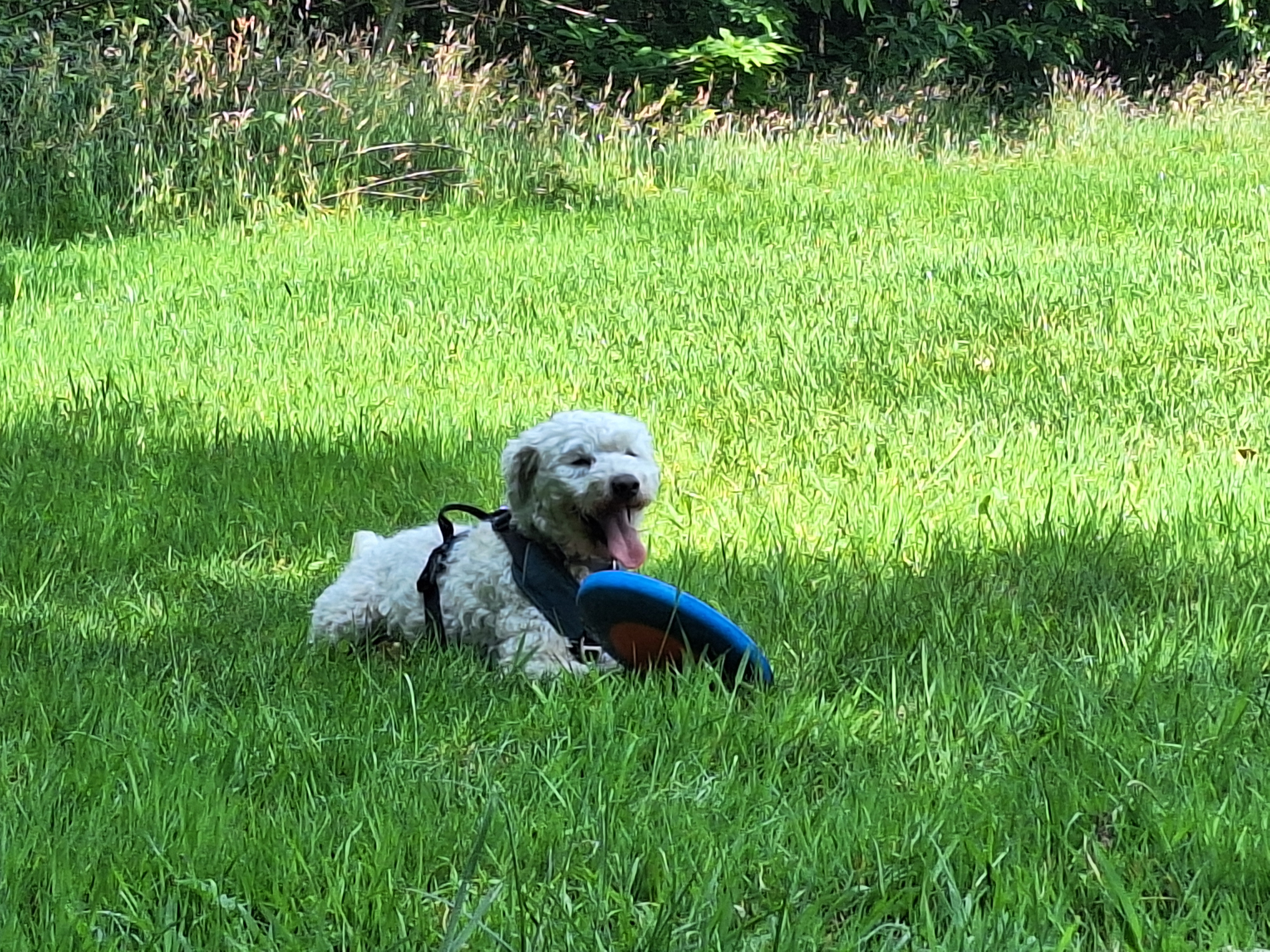image-6
