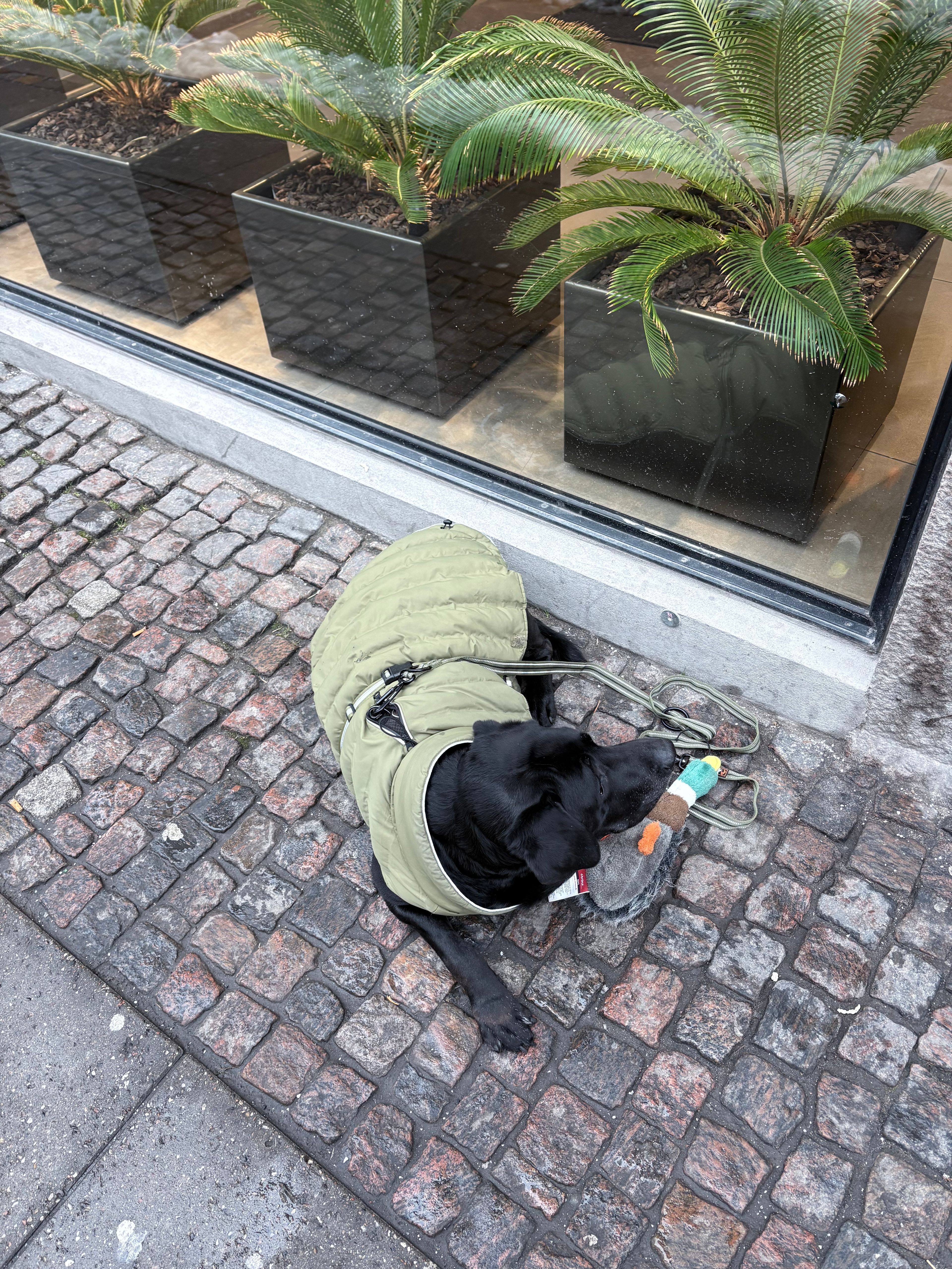 image-16