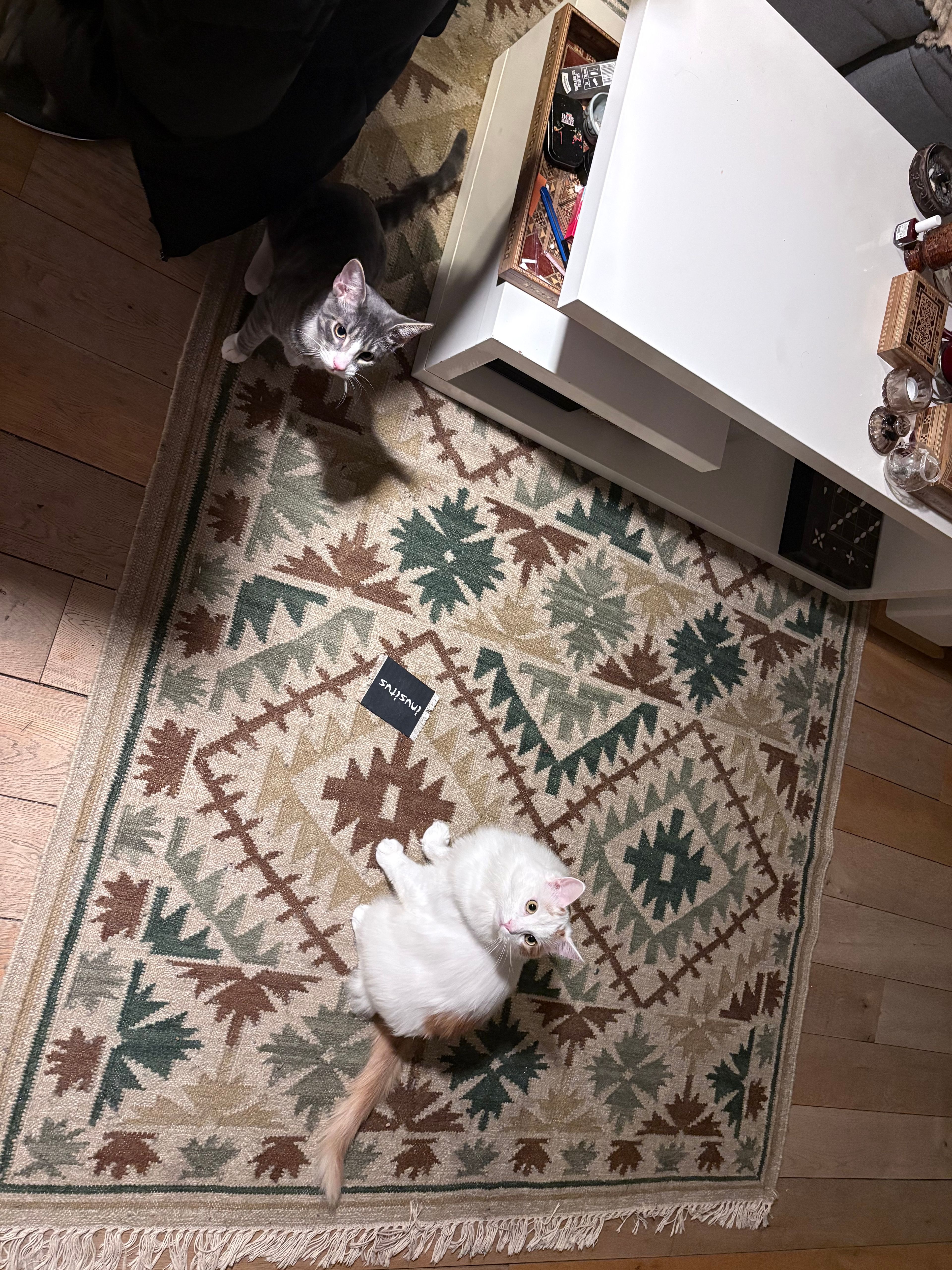 image-12