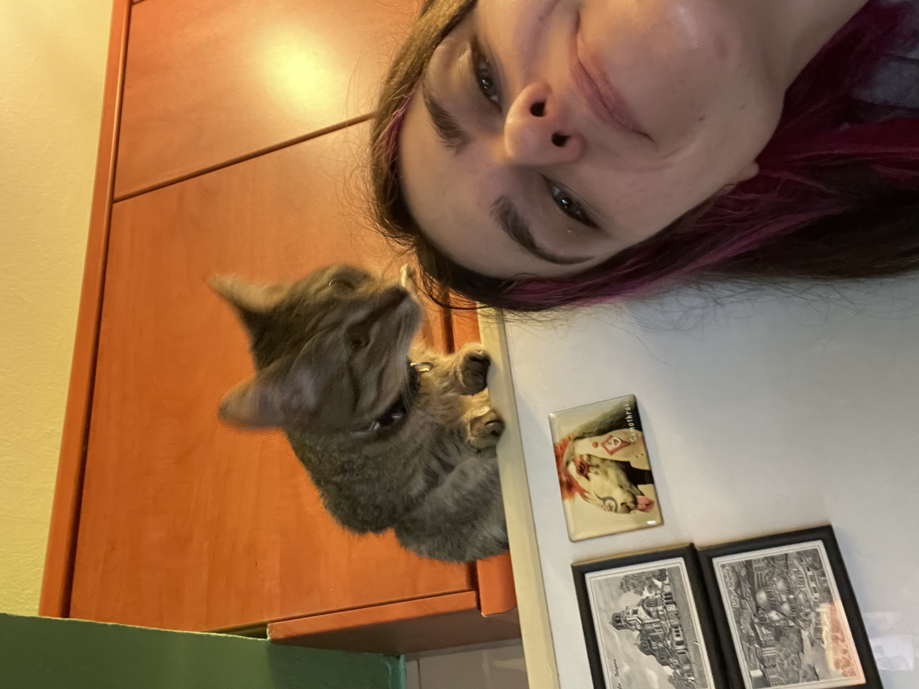 image-8