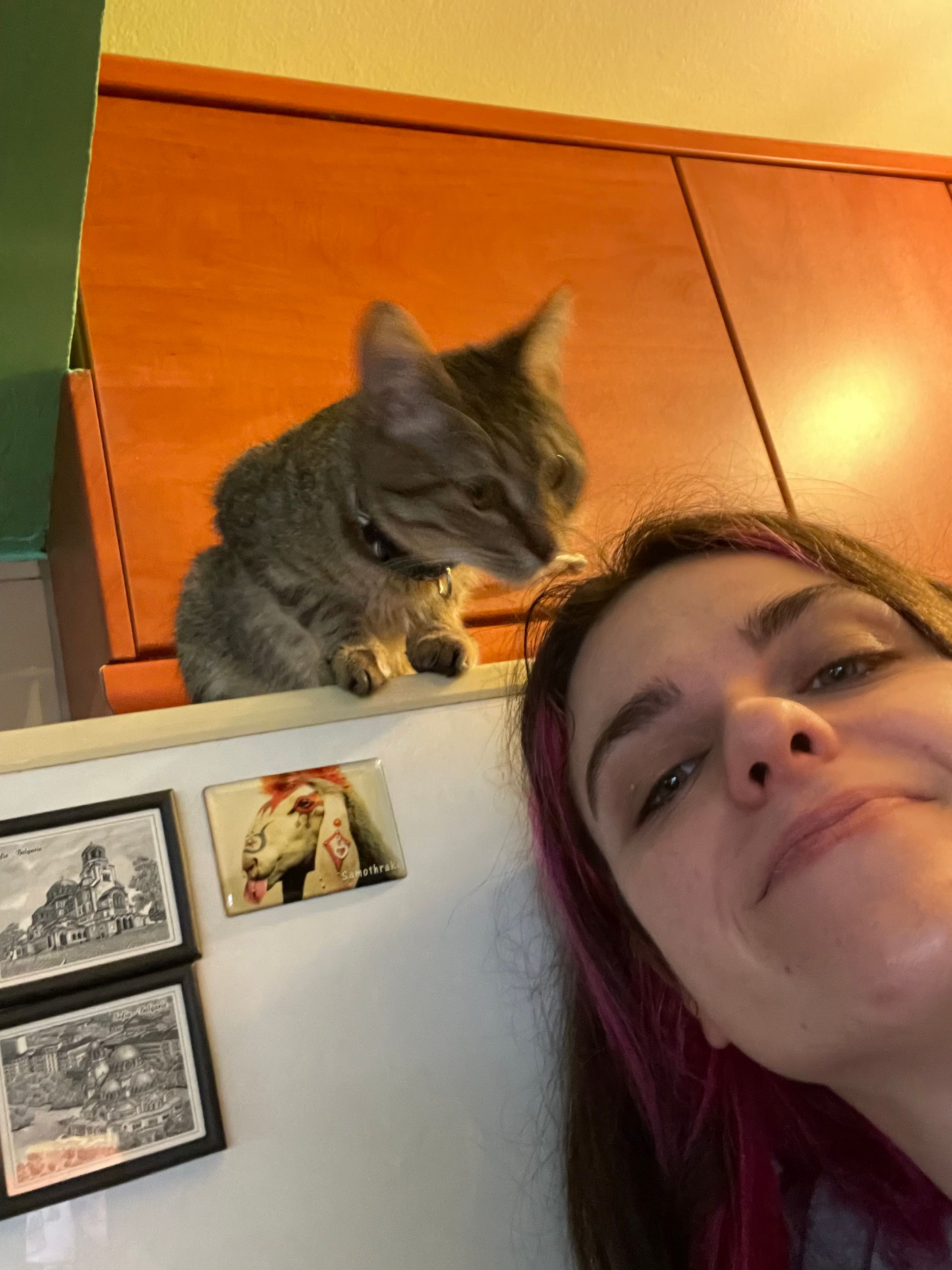 image-8