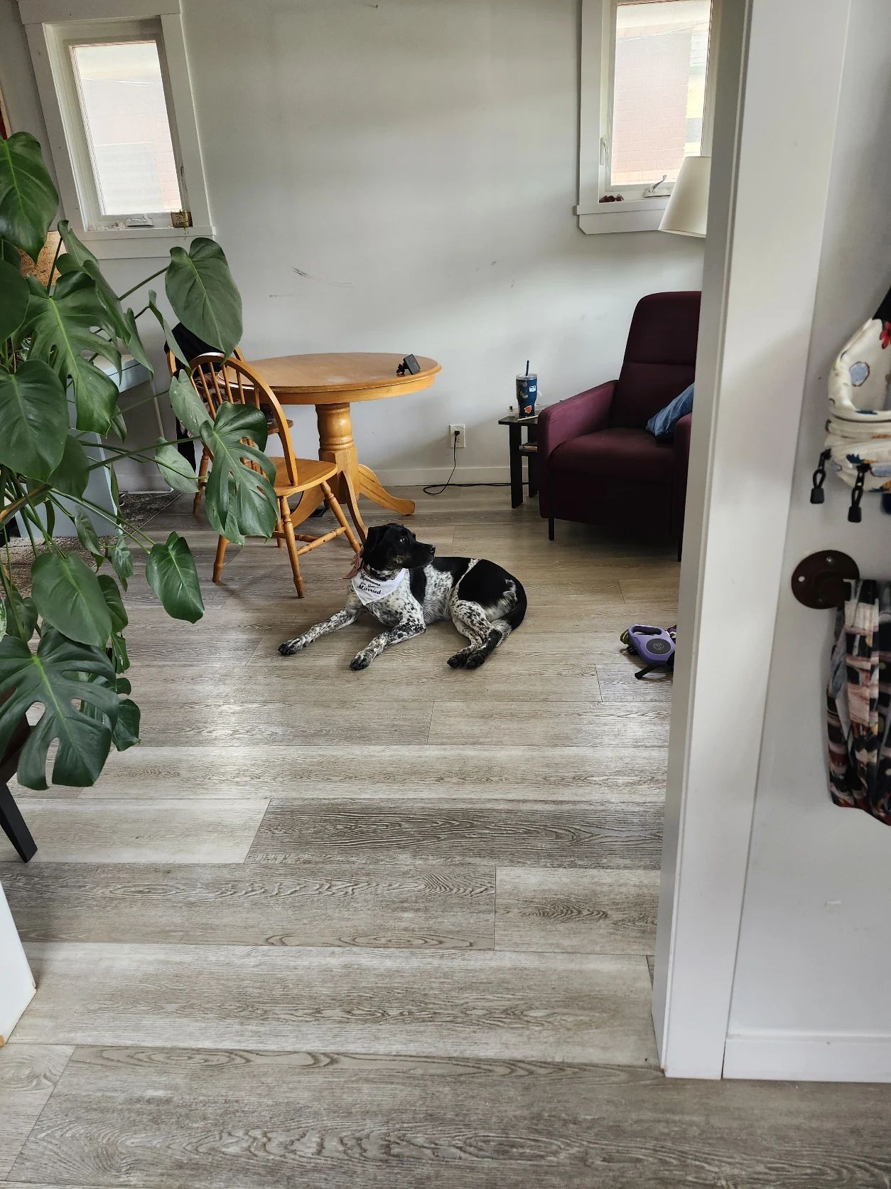 image-13