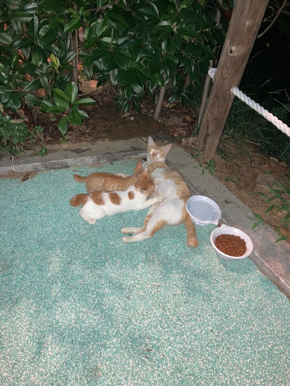 image-4