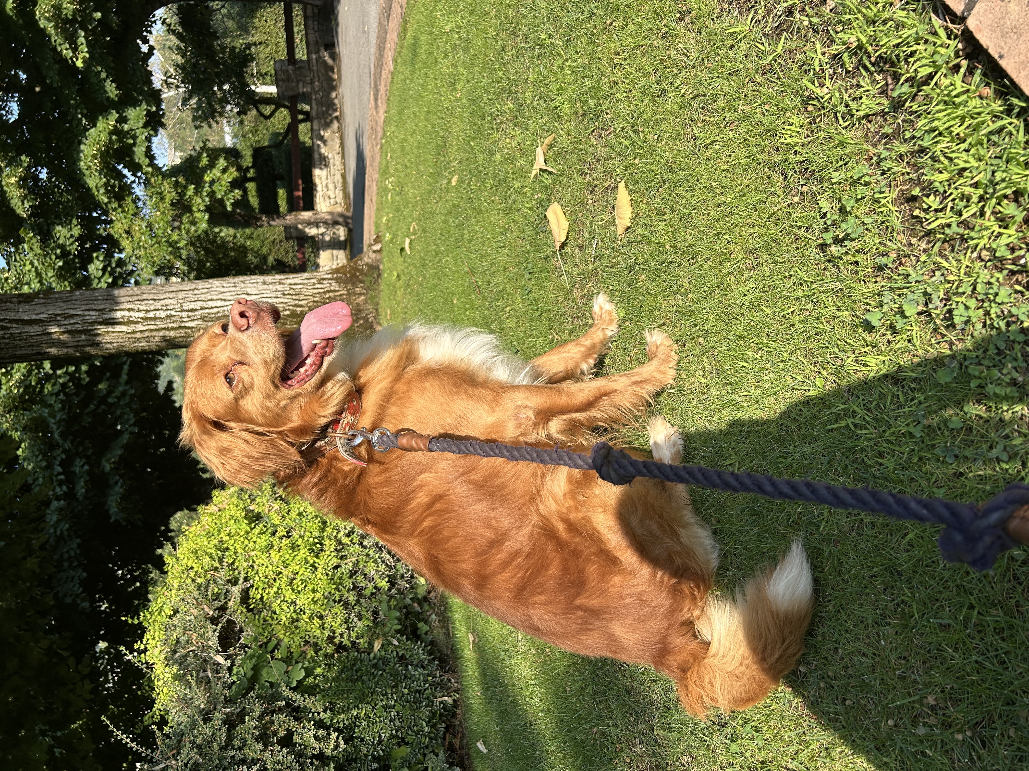image-11