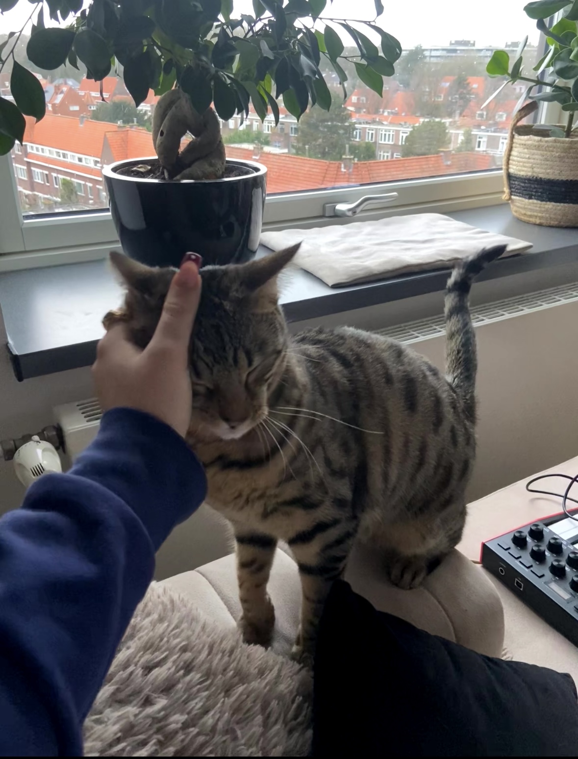 image-6