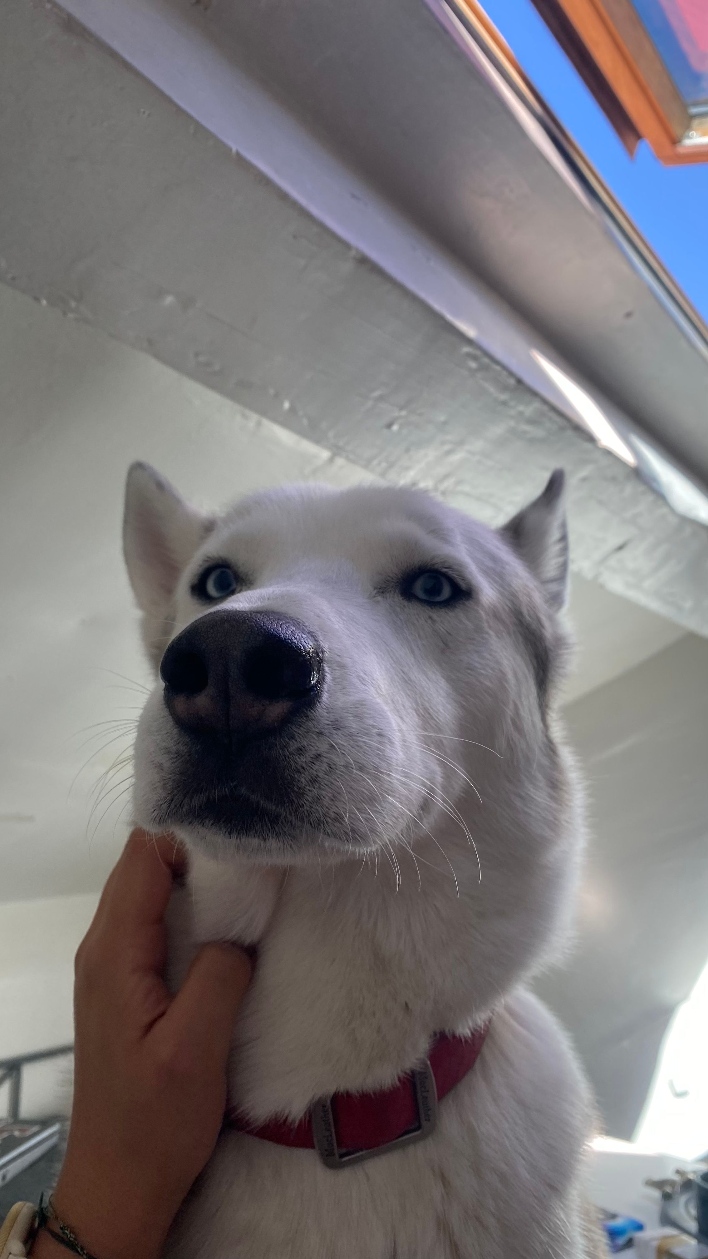 image-7