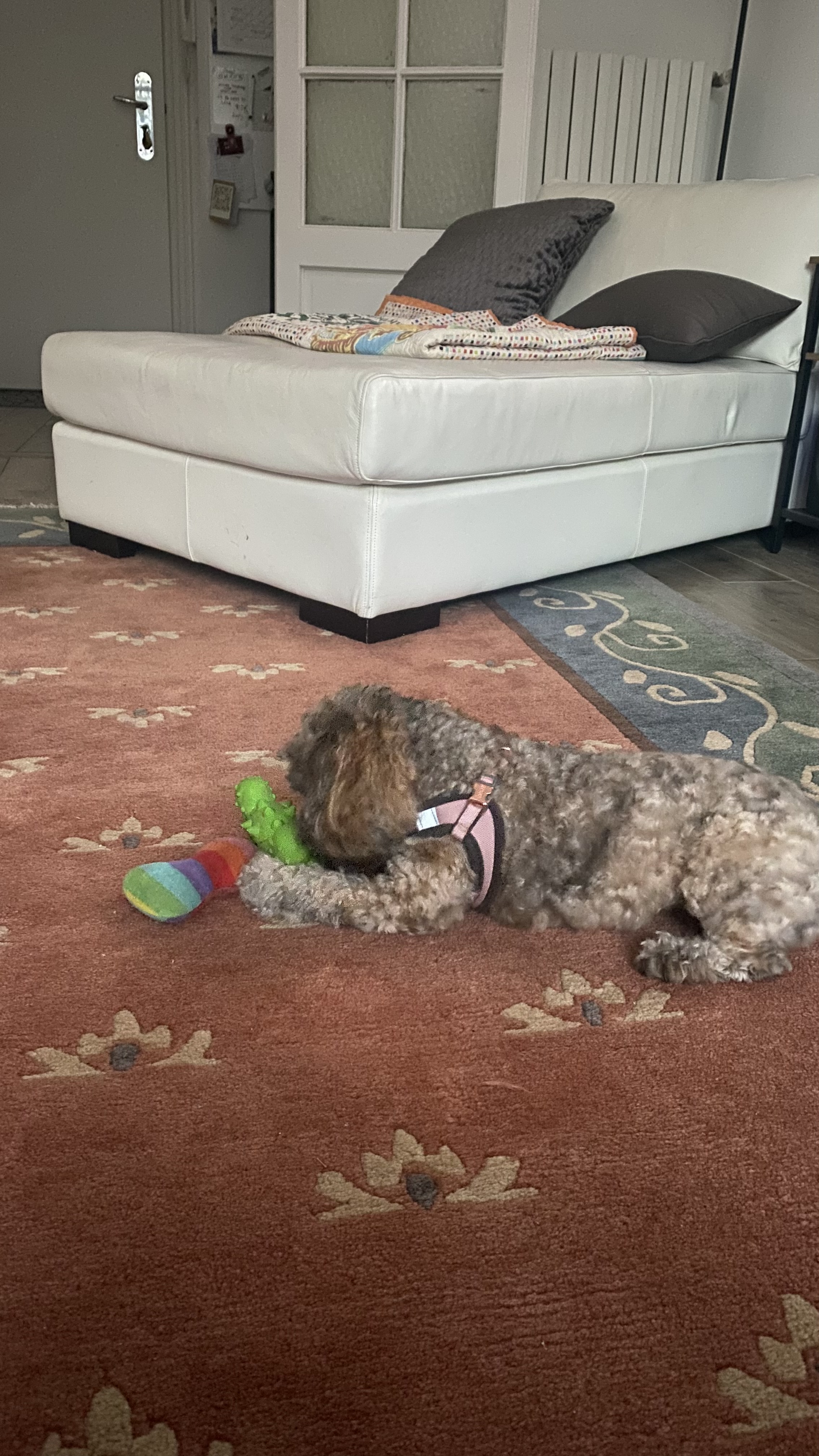 image-8