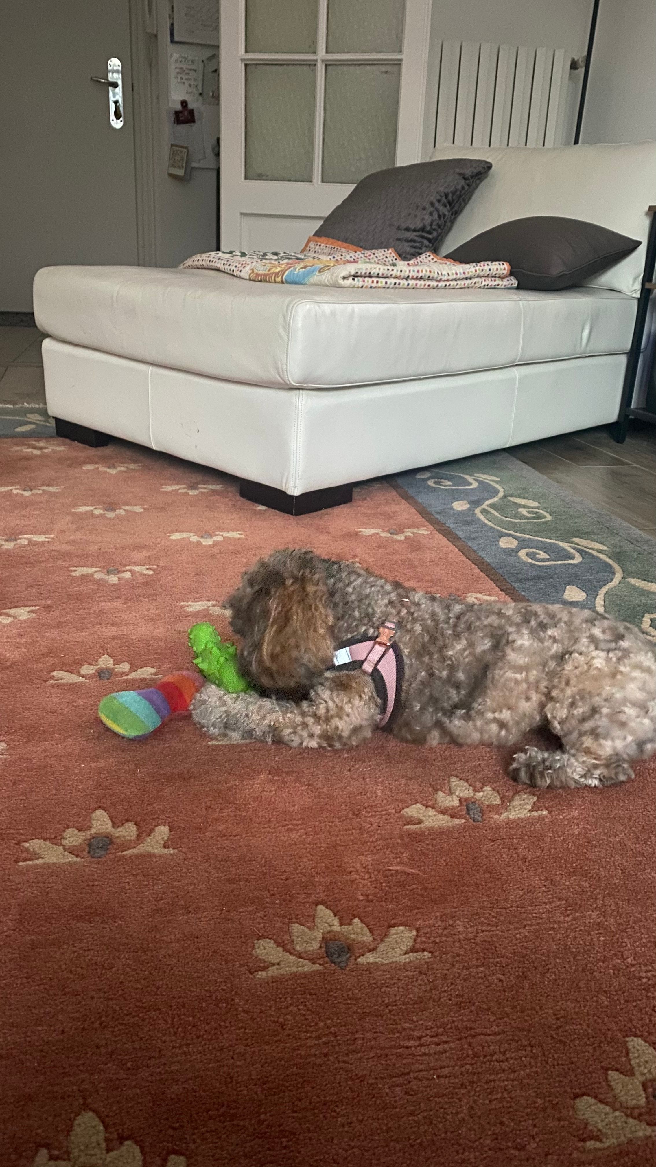 image-8