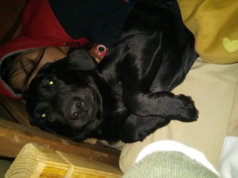 image-9