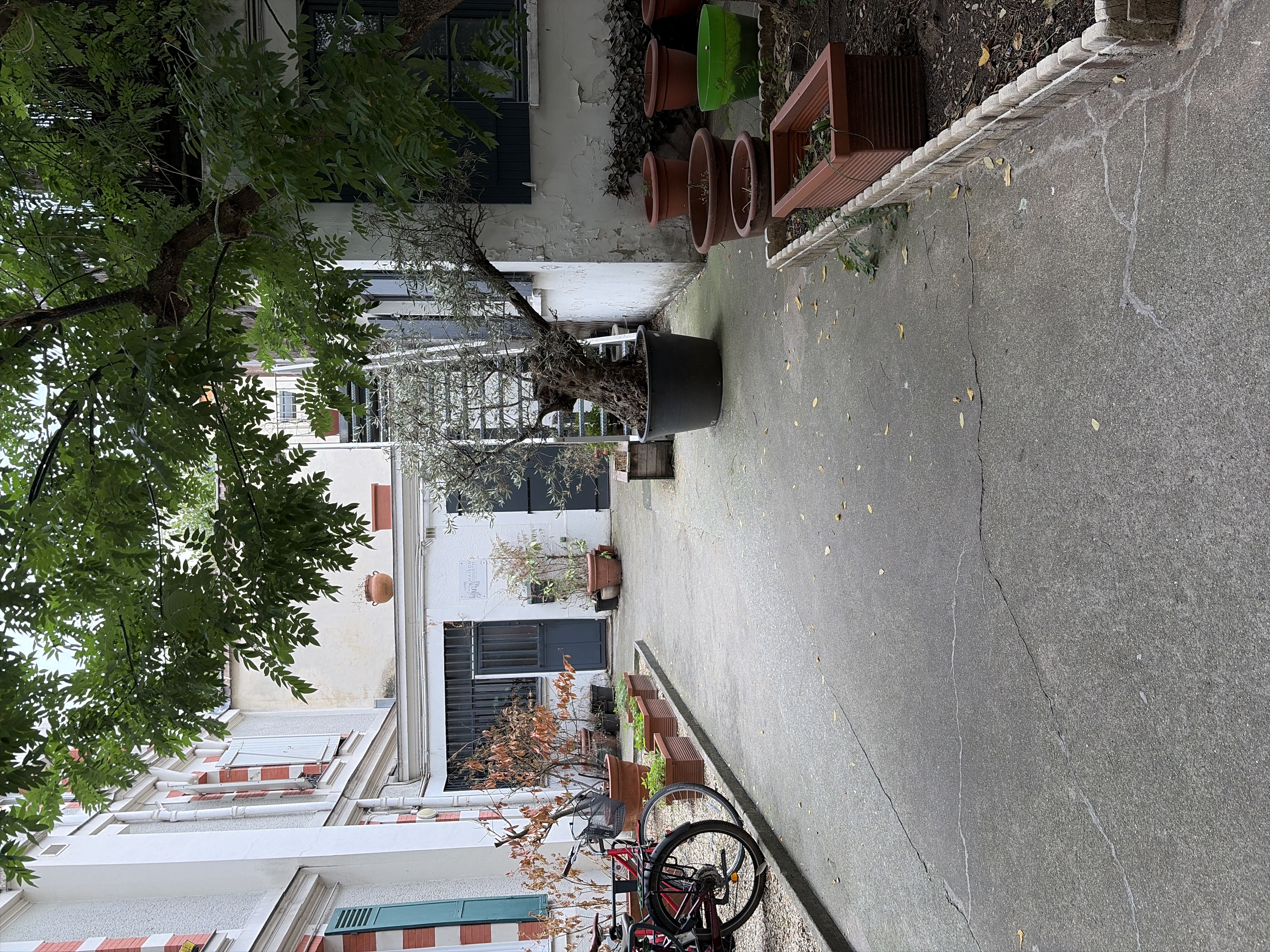 image-17