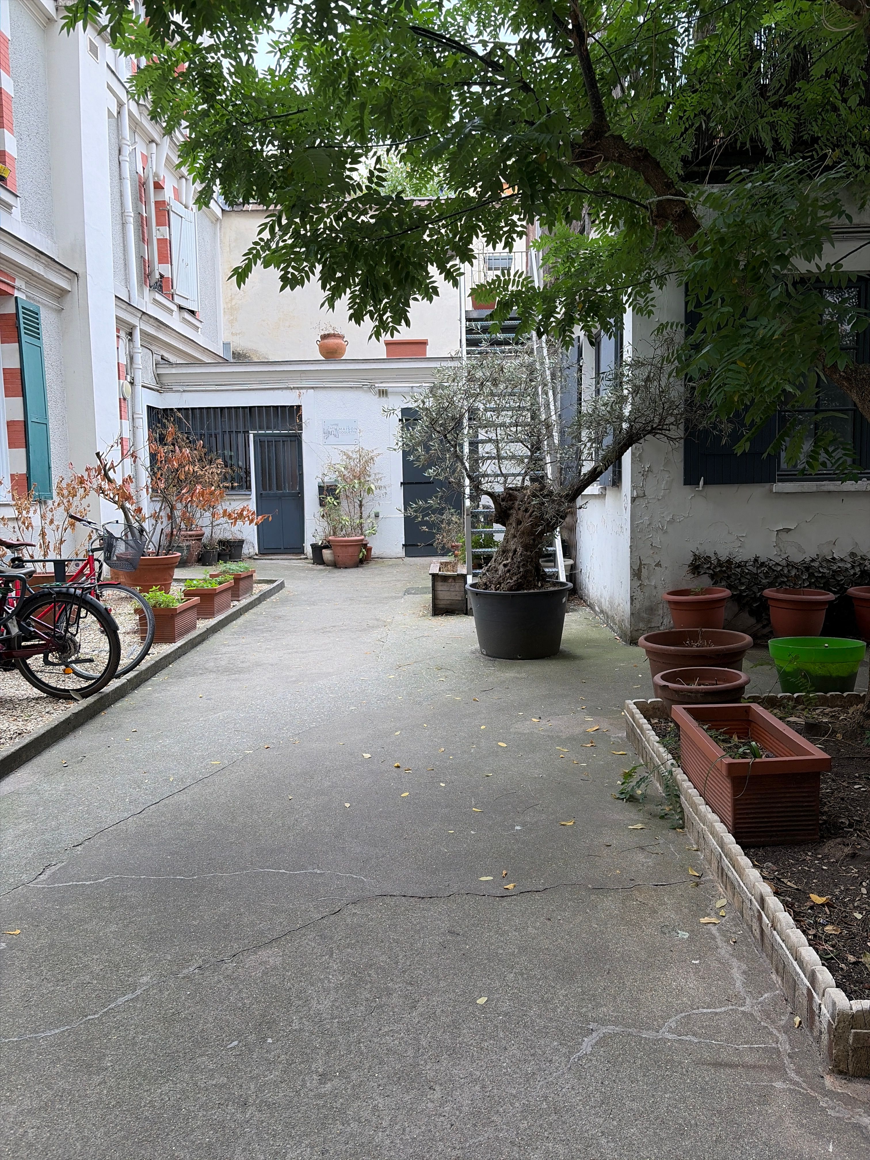 image-17