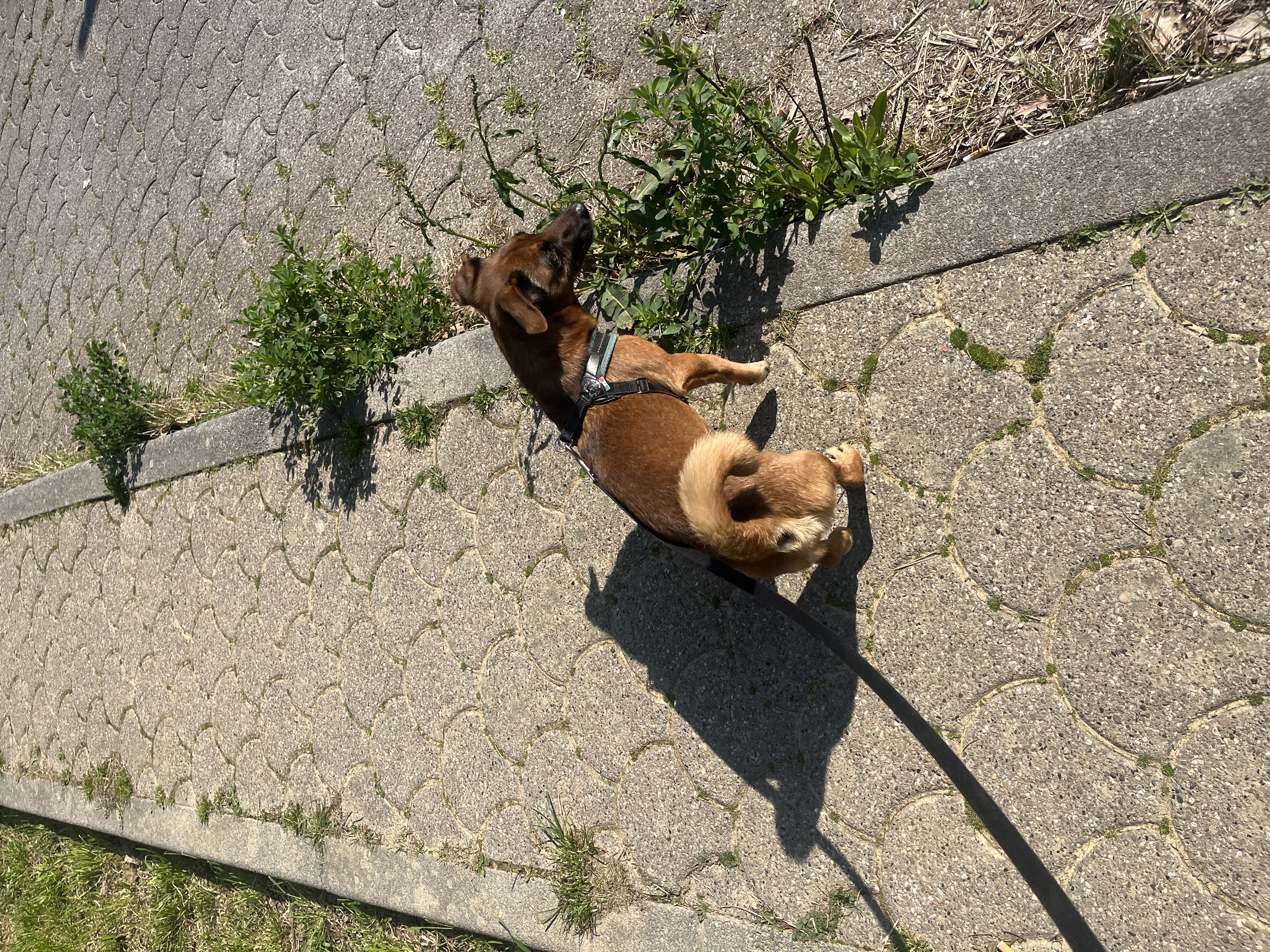 image-14