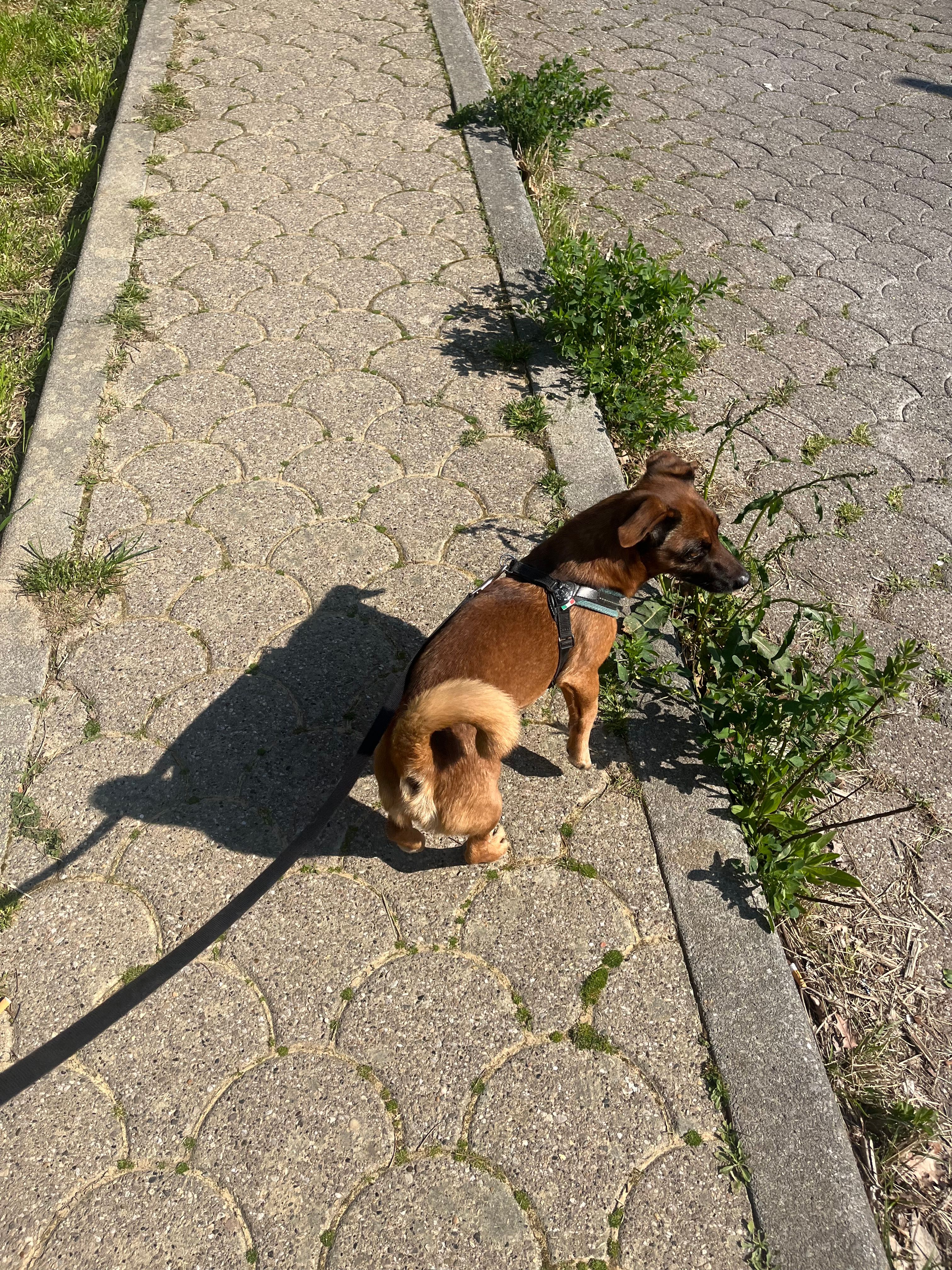 image-14