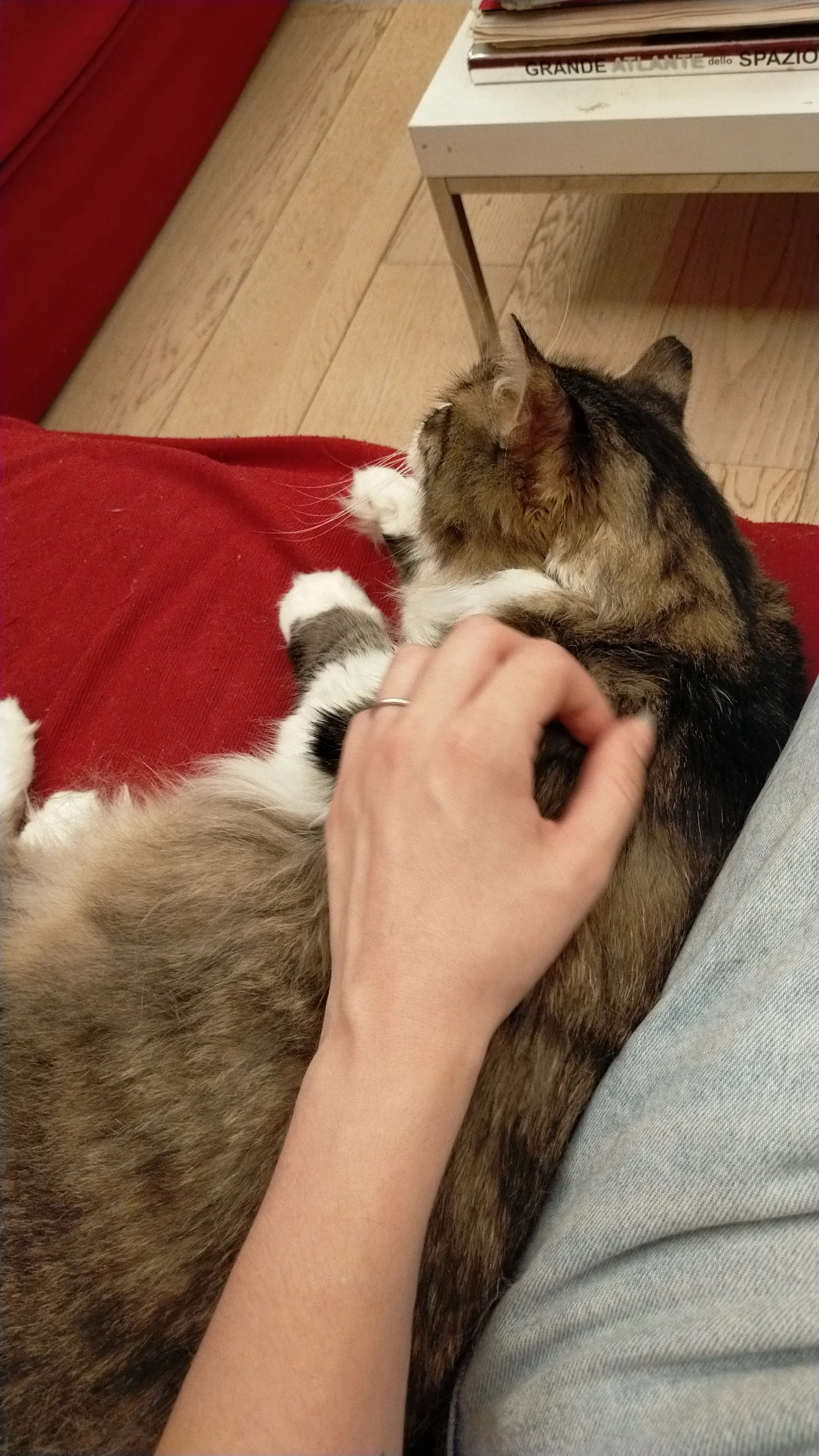 image-11