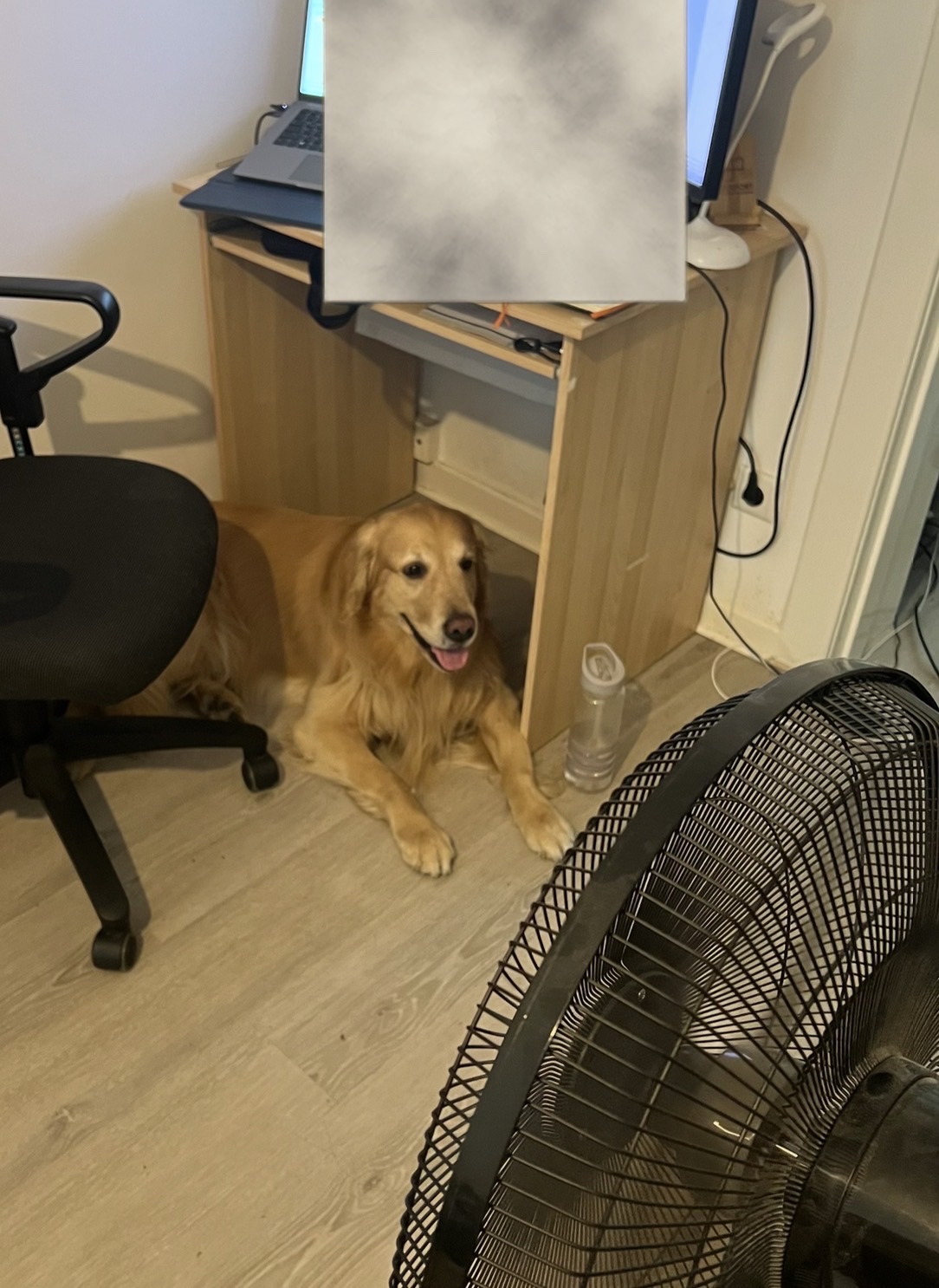 image-13