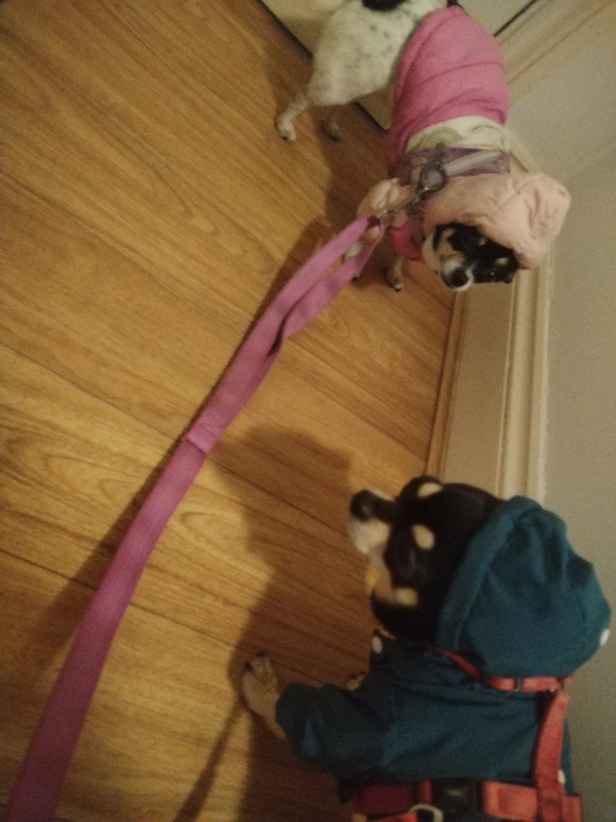 image-11