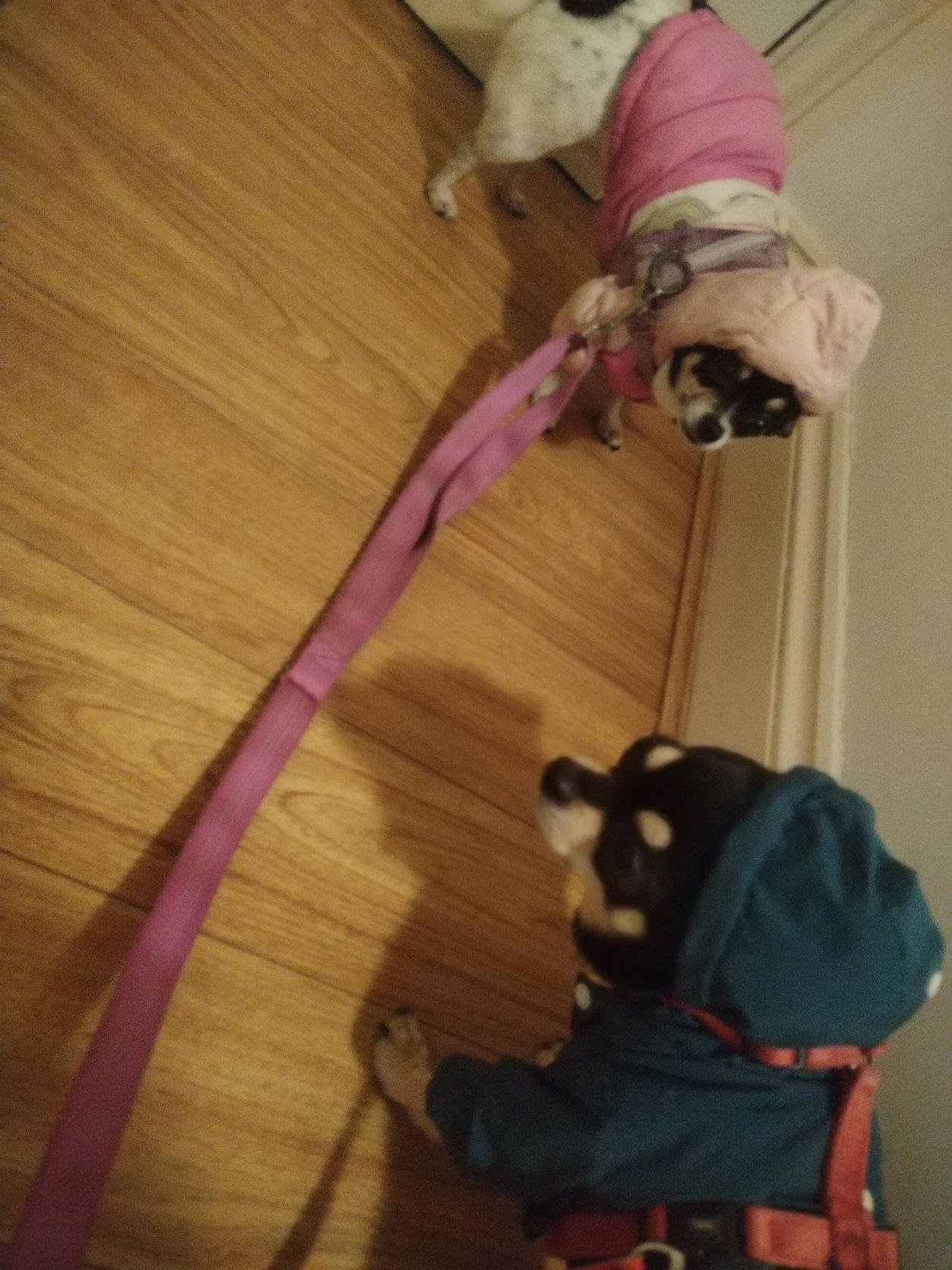 image-11