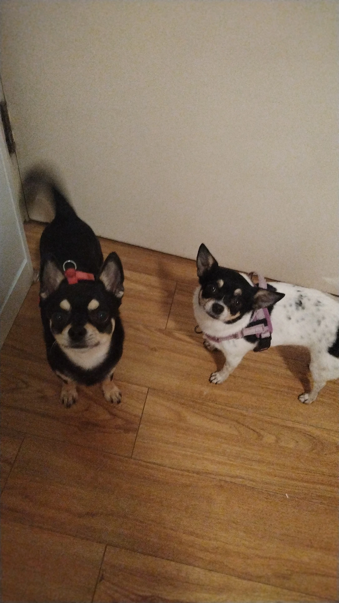 image-13