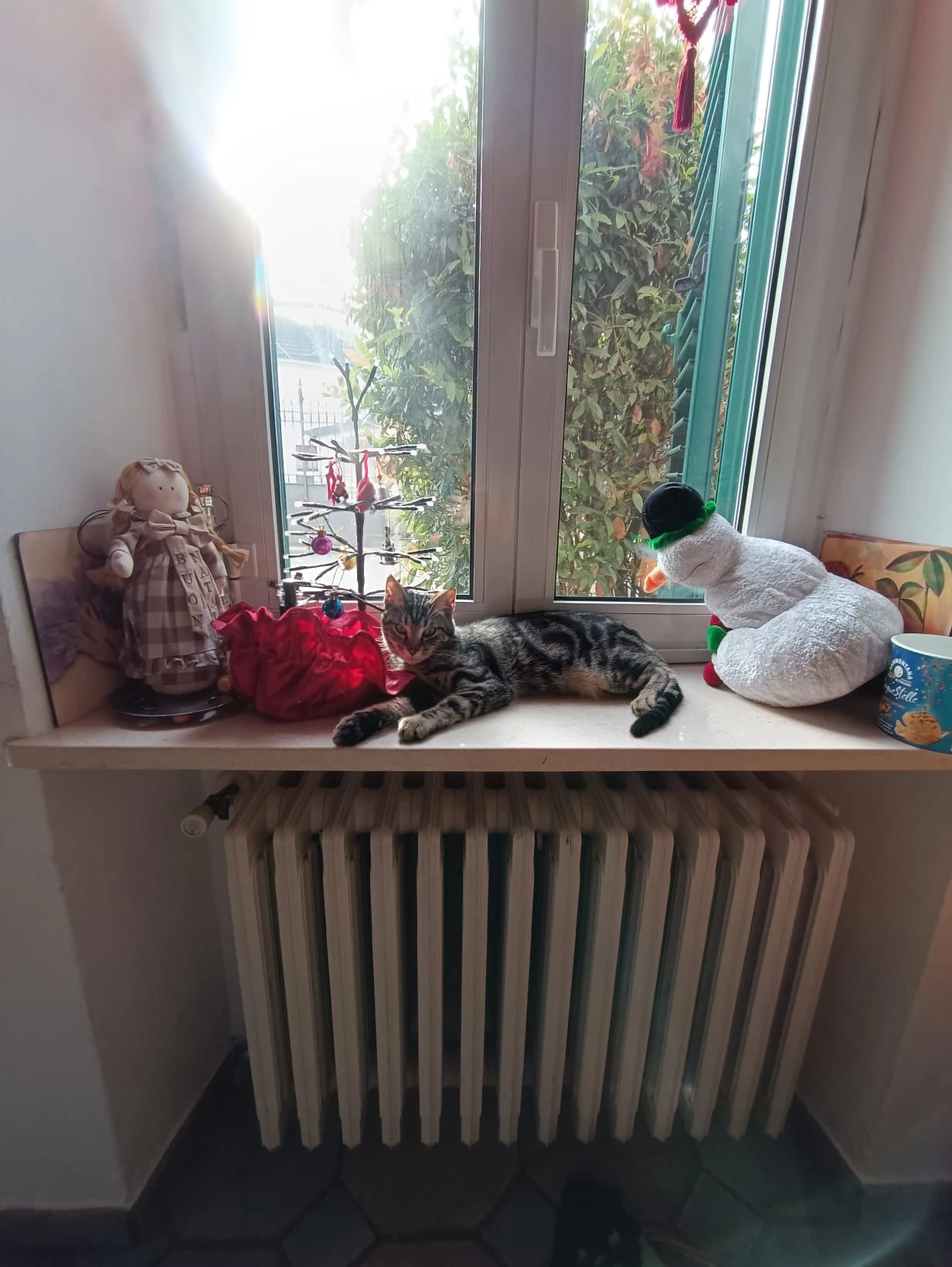 image-19