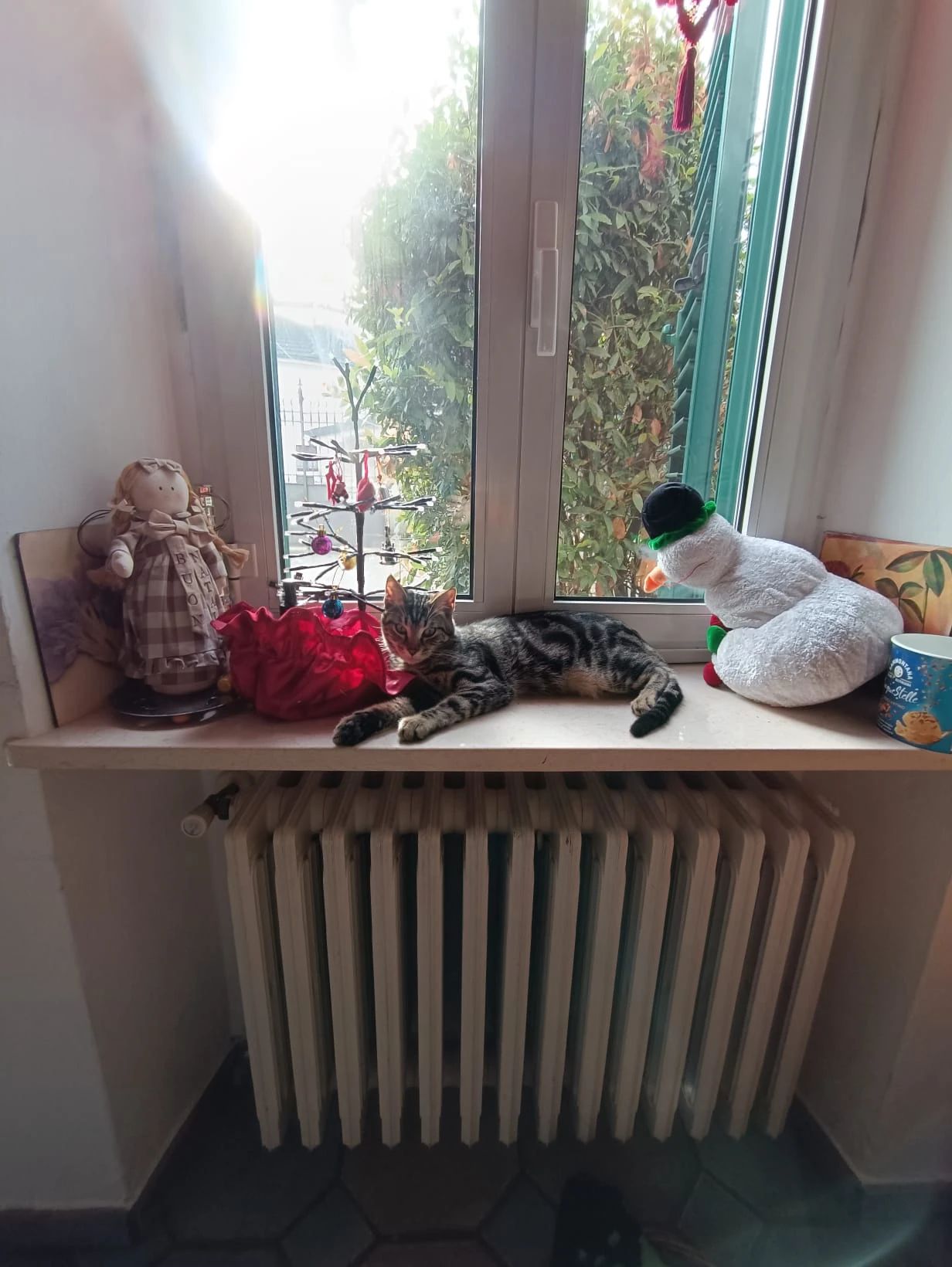 image-19