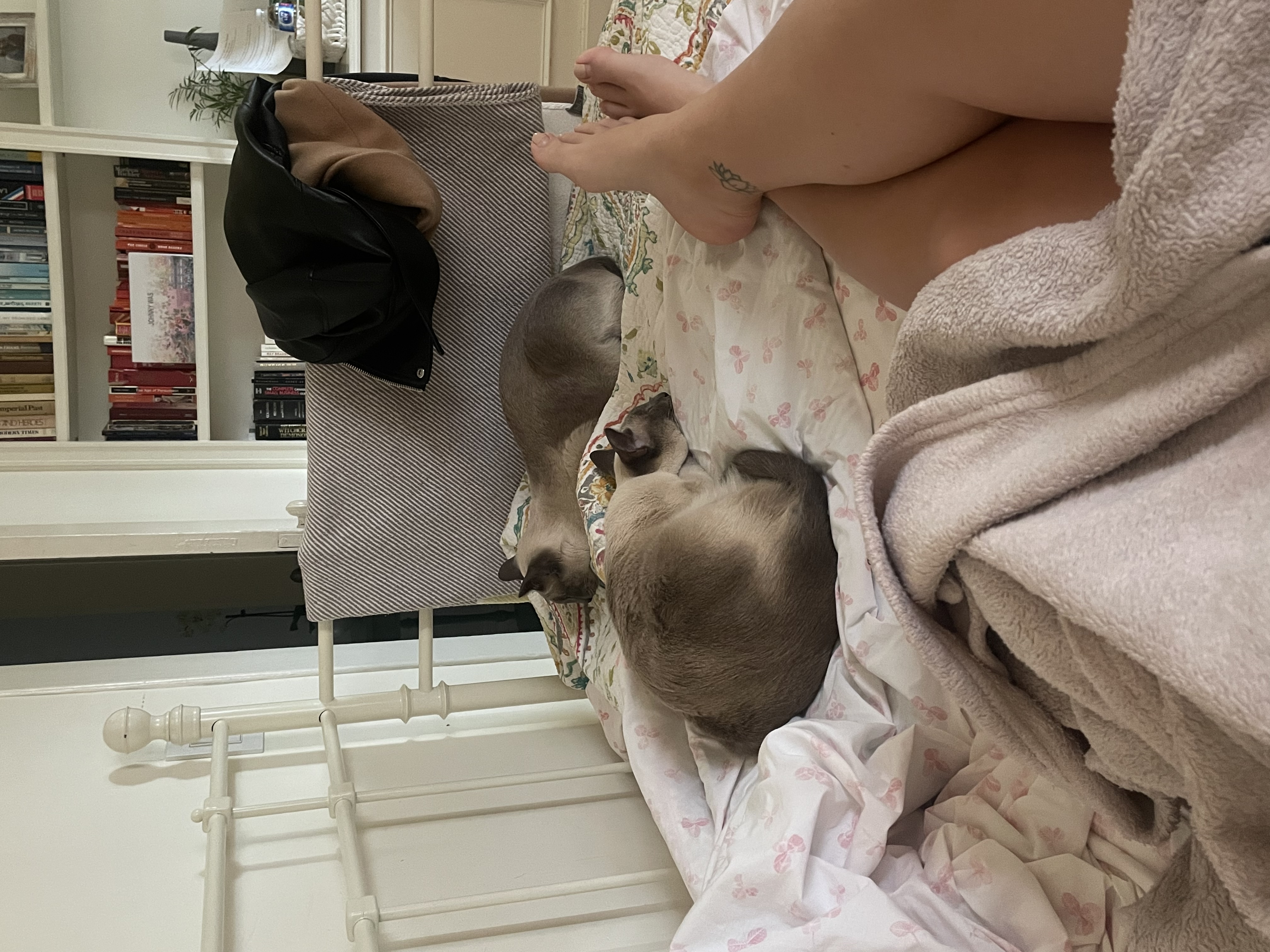 image-10