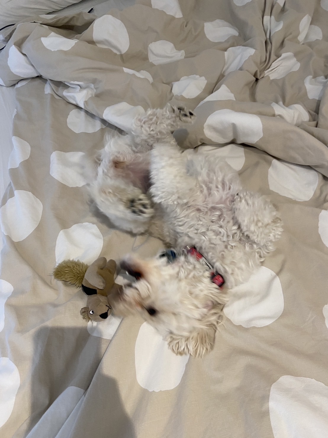 image-13