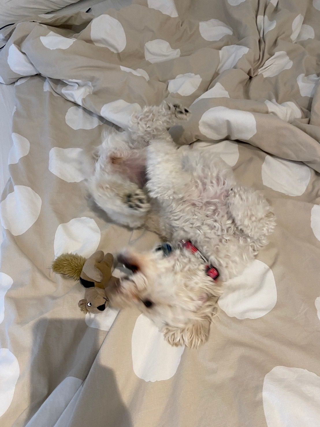 image-13