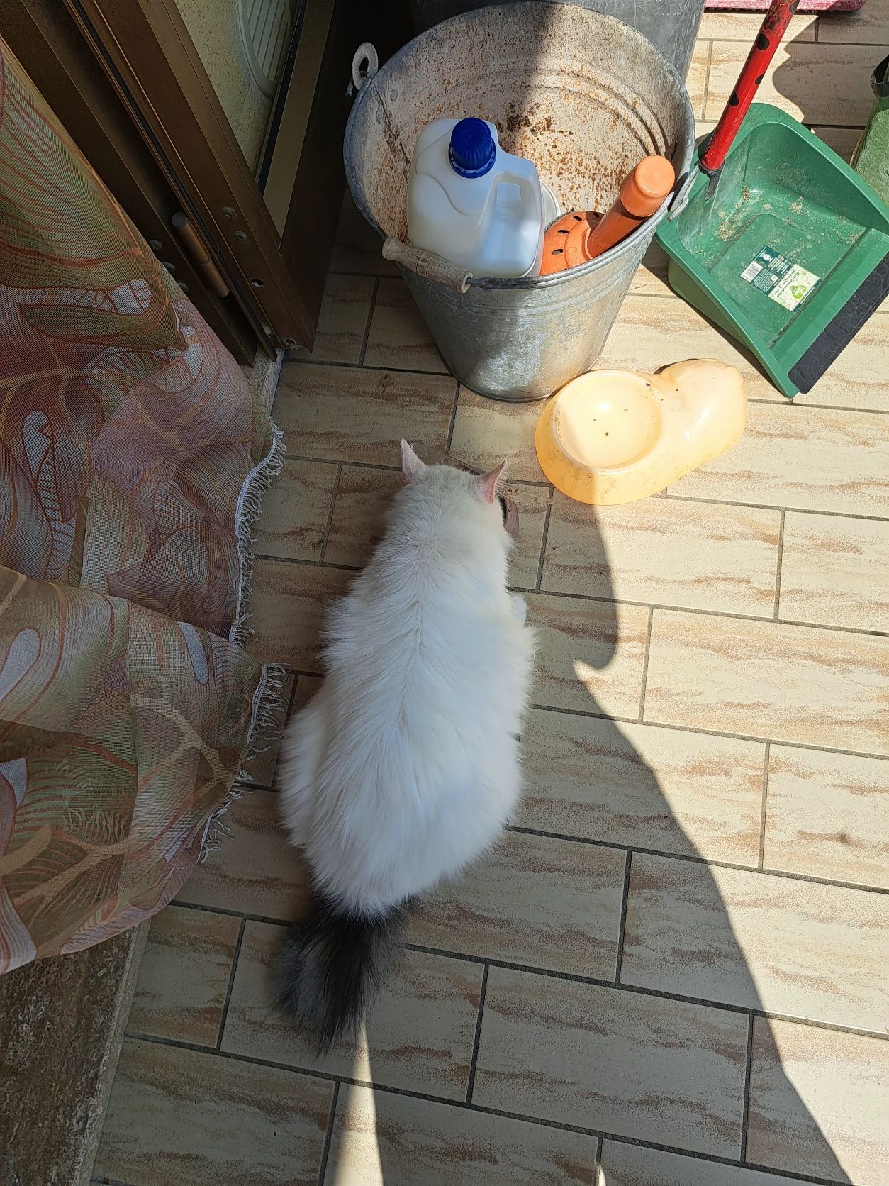 image-5