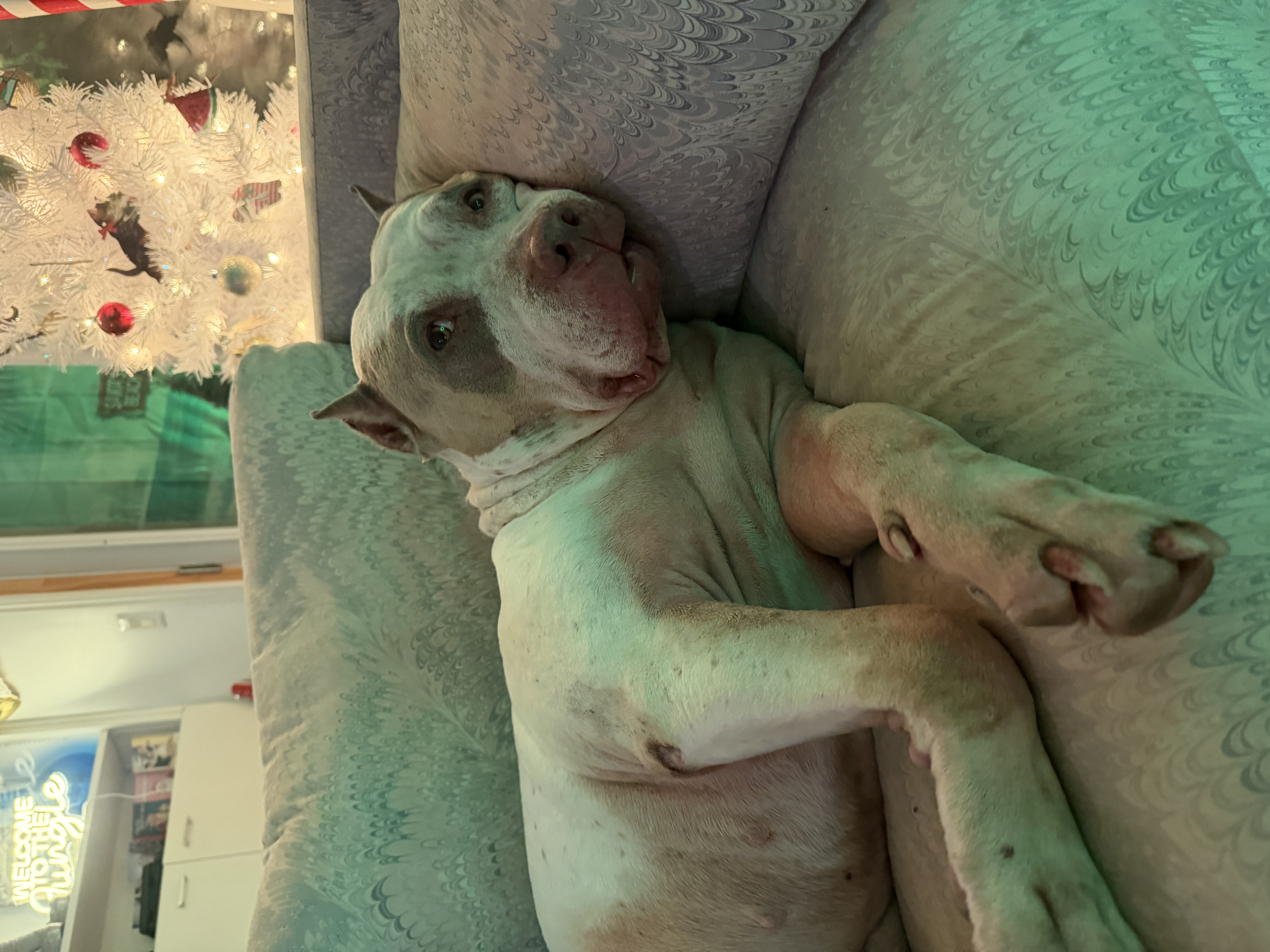 image-9