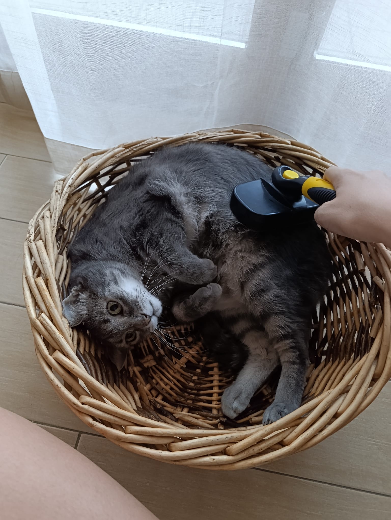image-11
