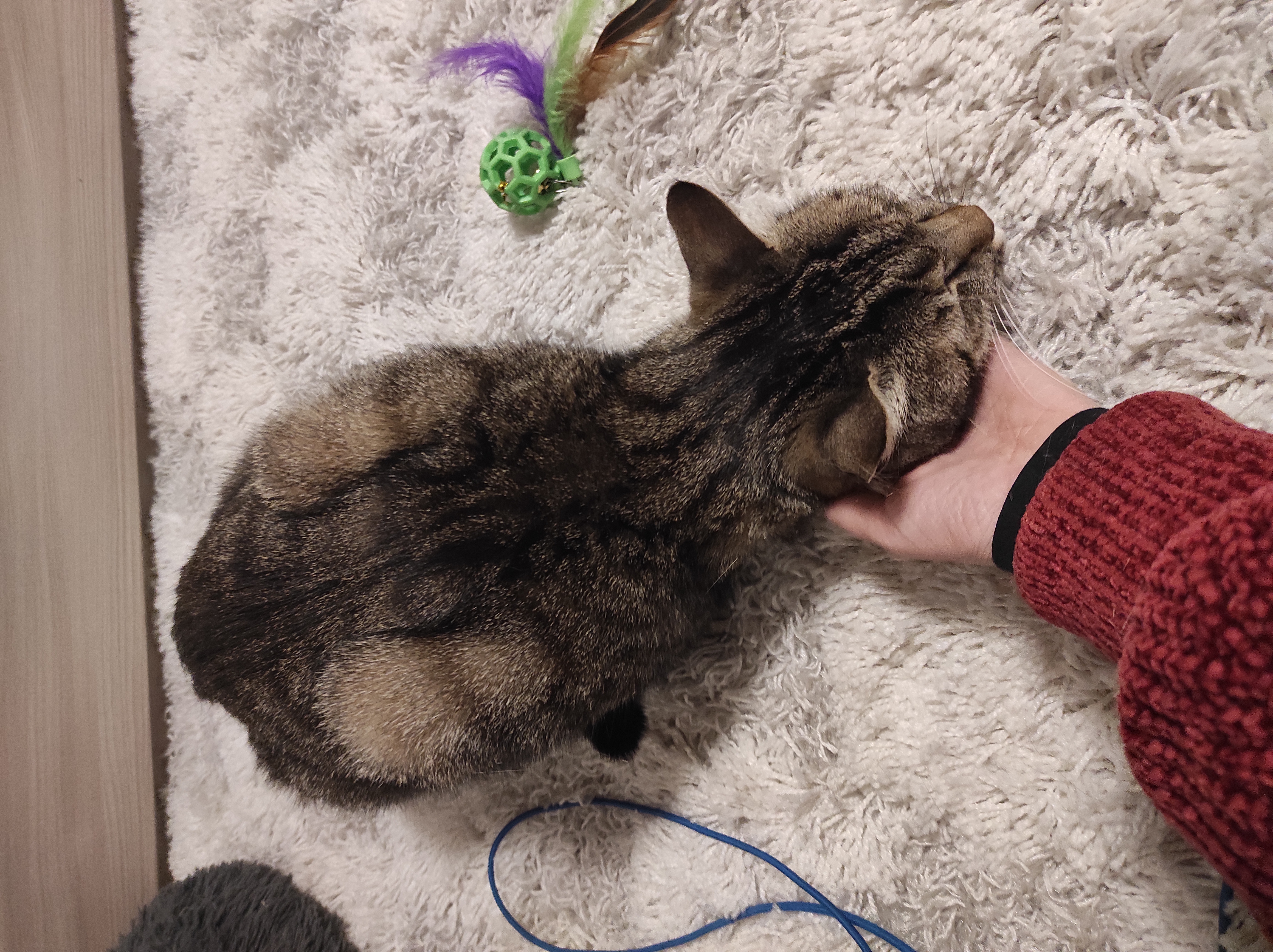 image-8