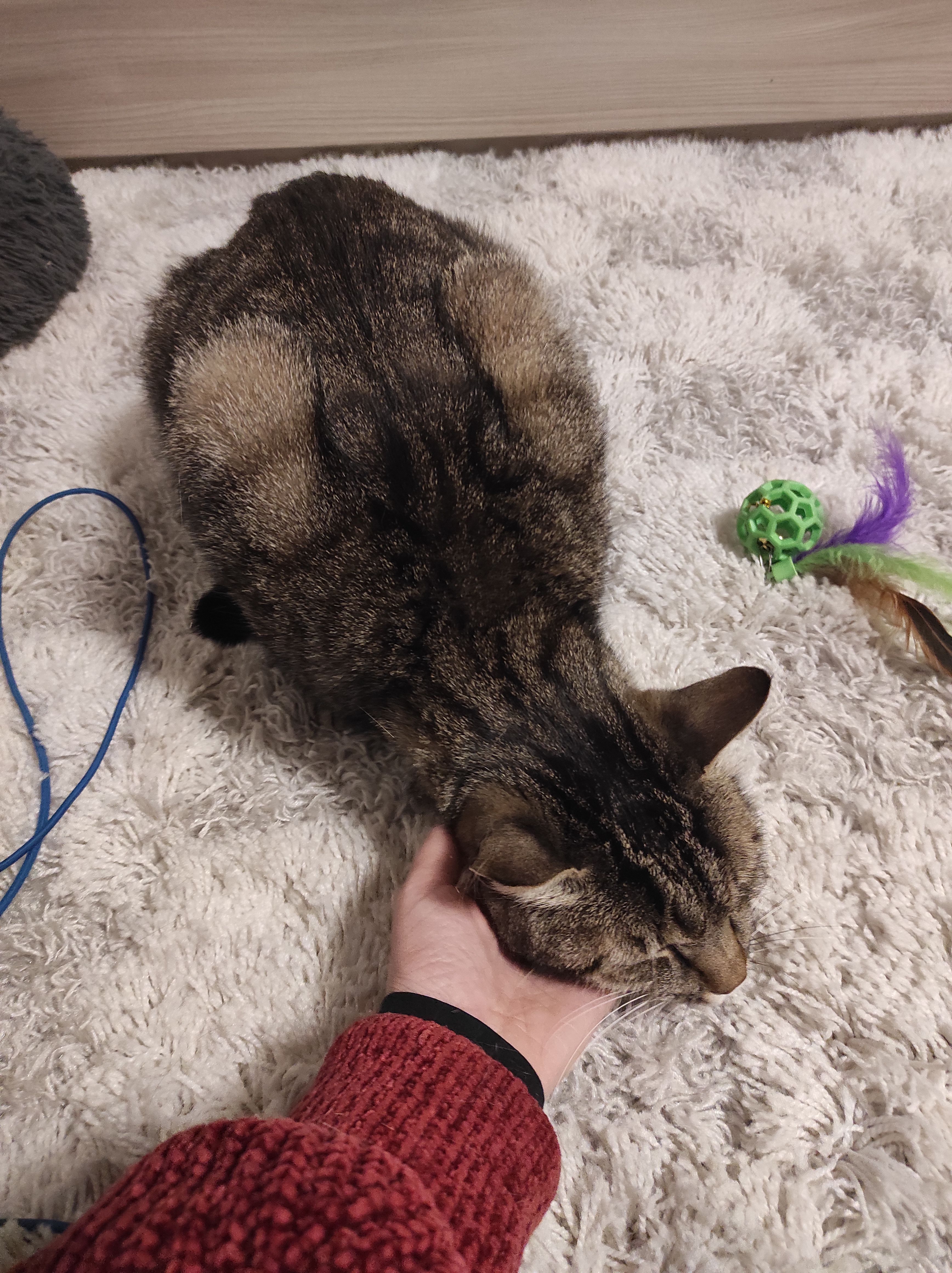 image-8