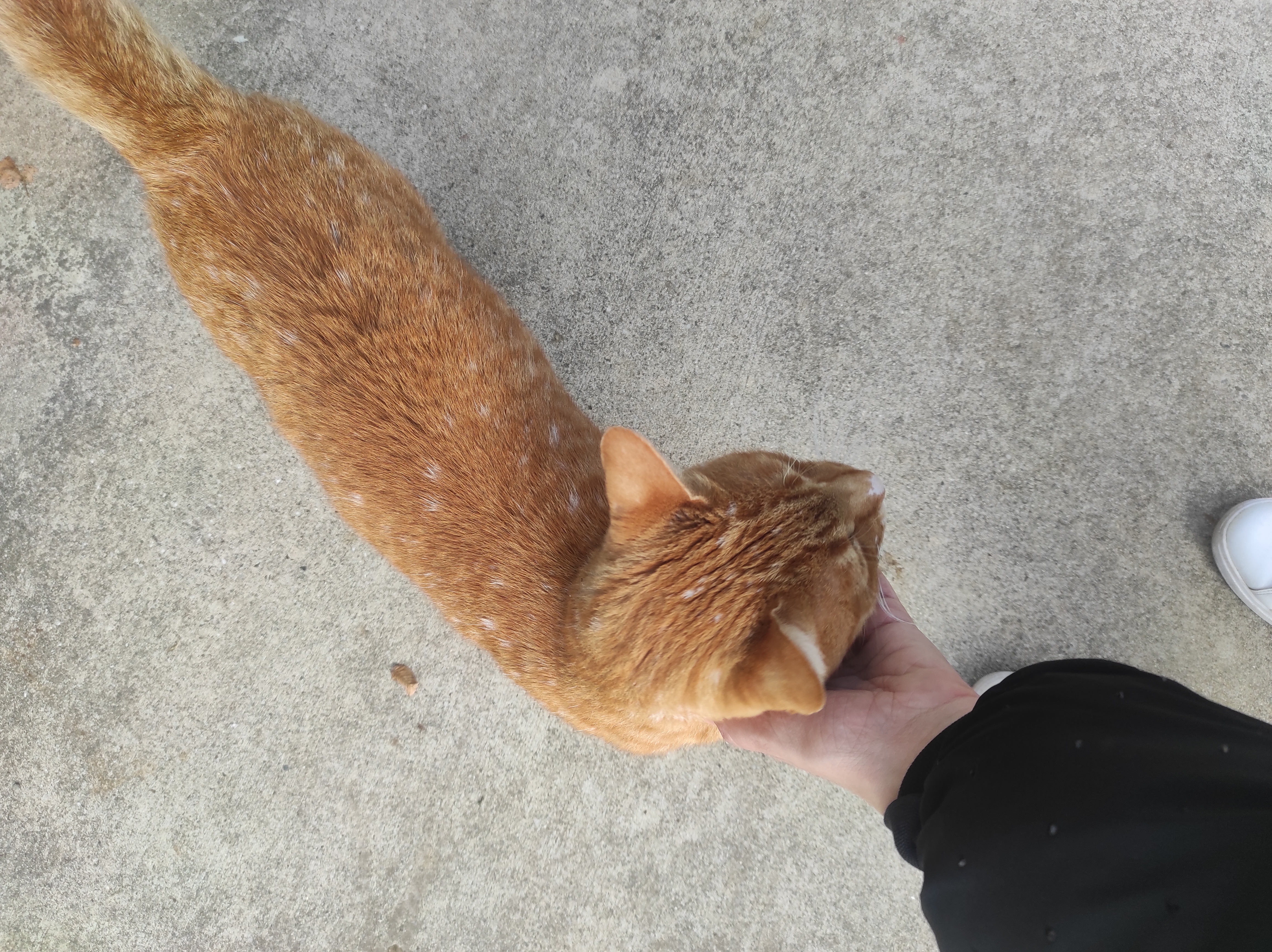 image-9