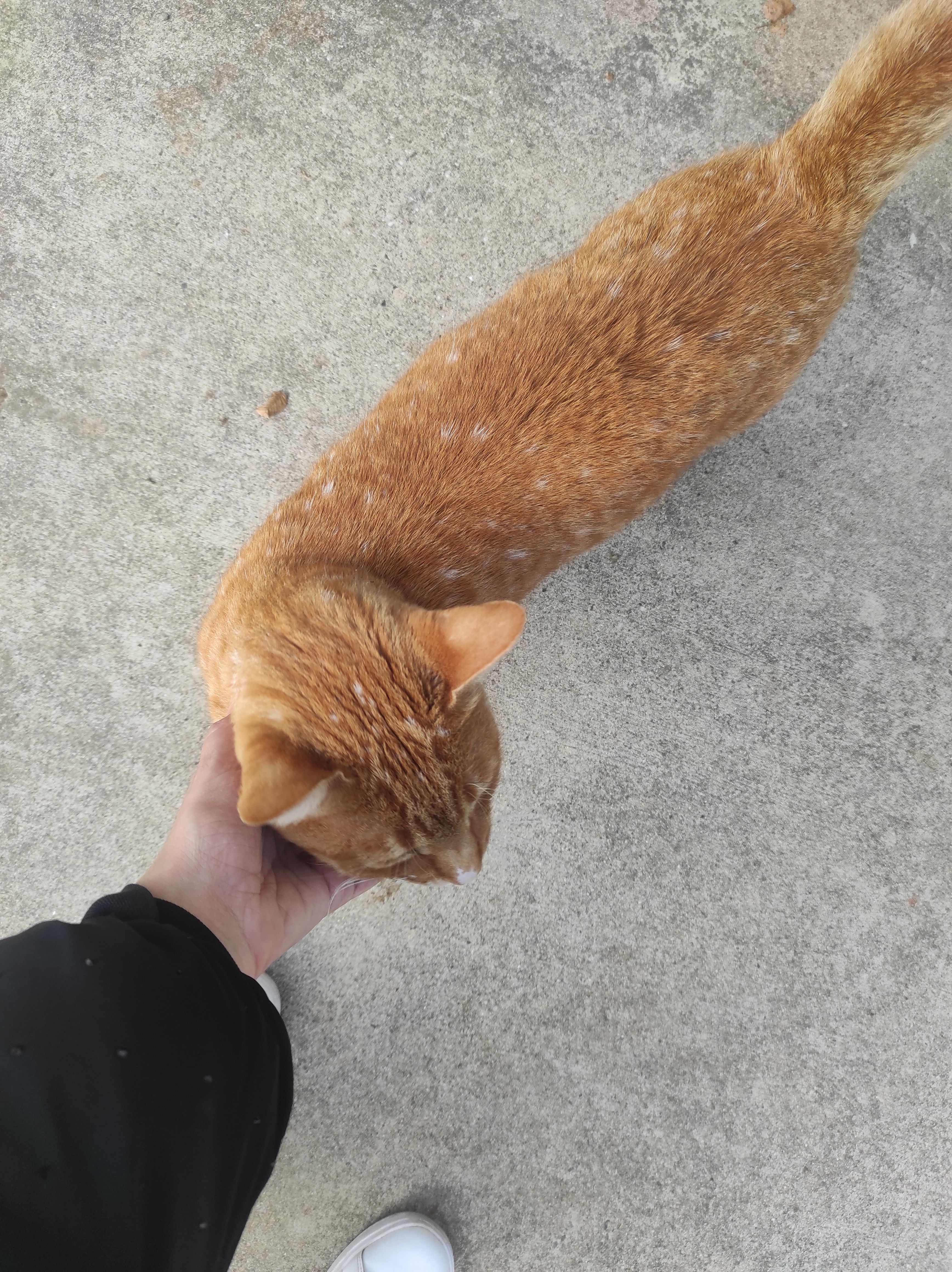 image-9