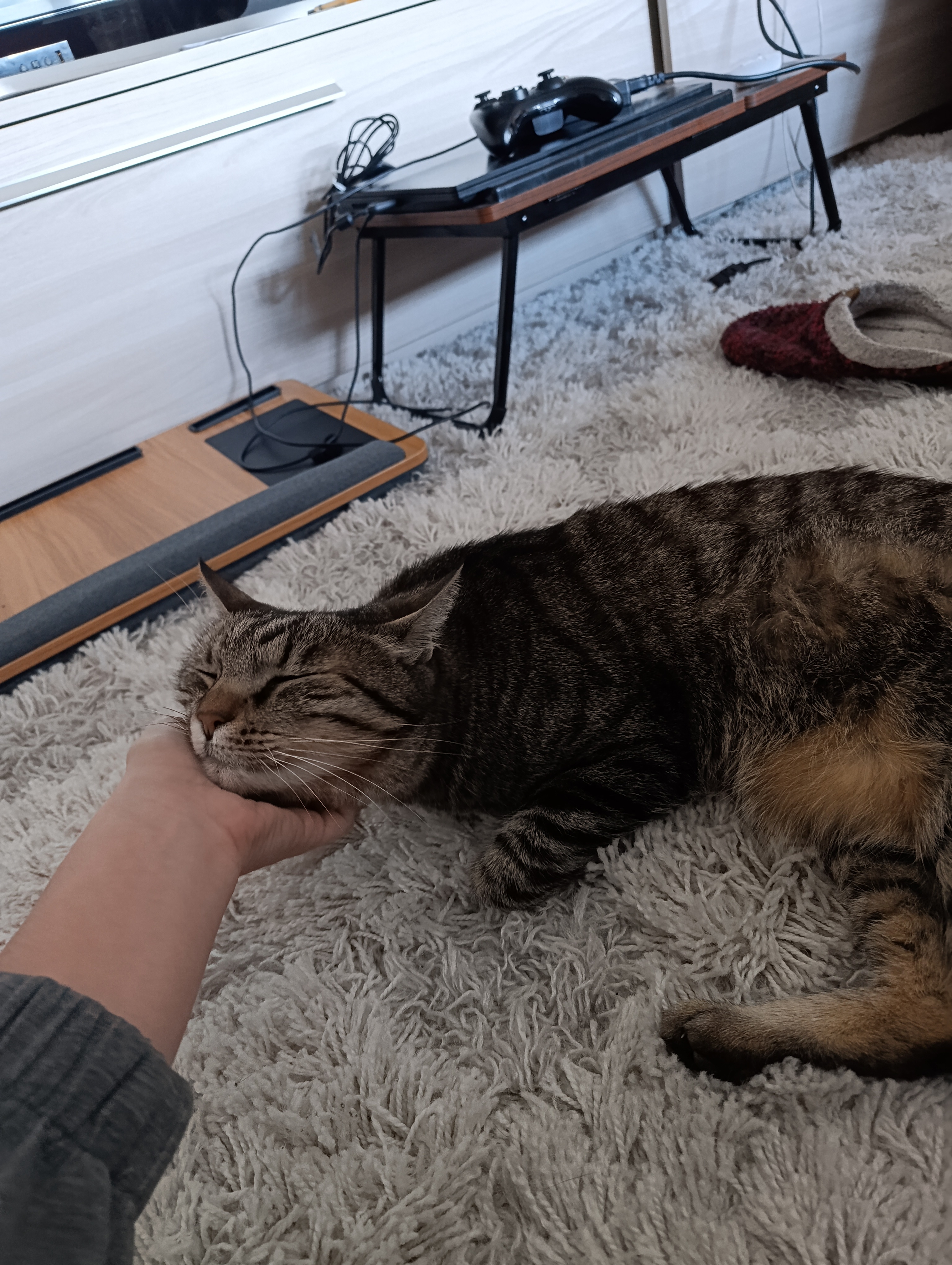 image-8