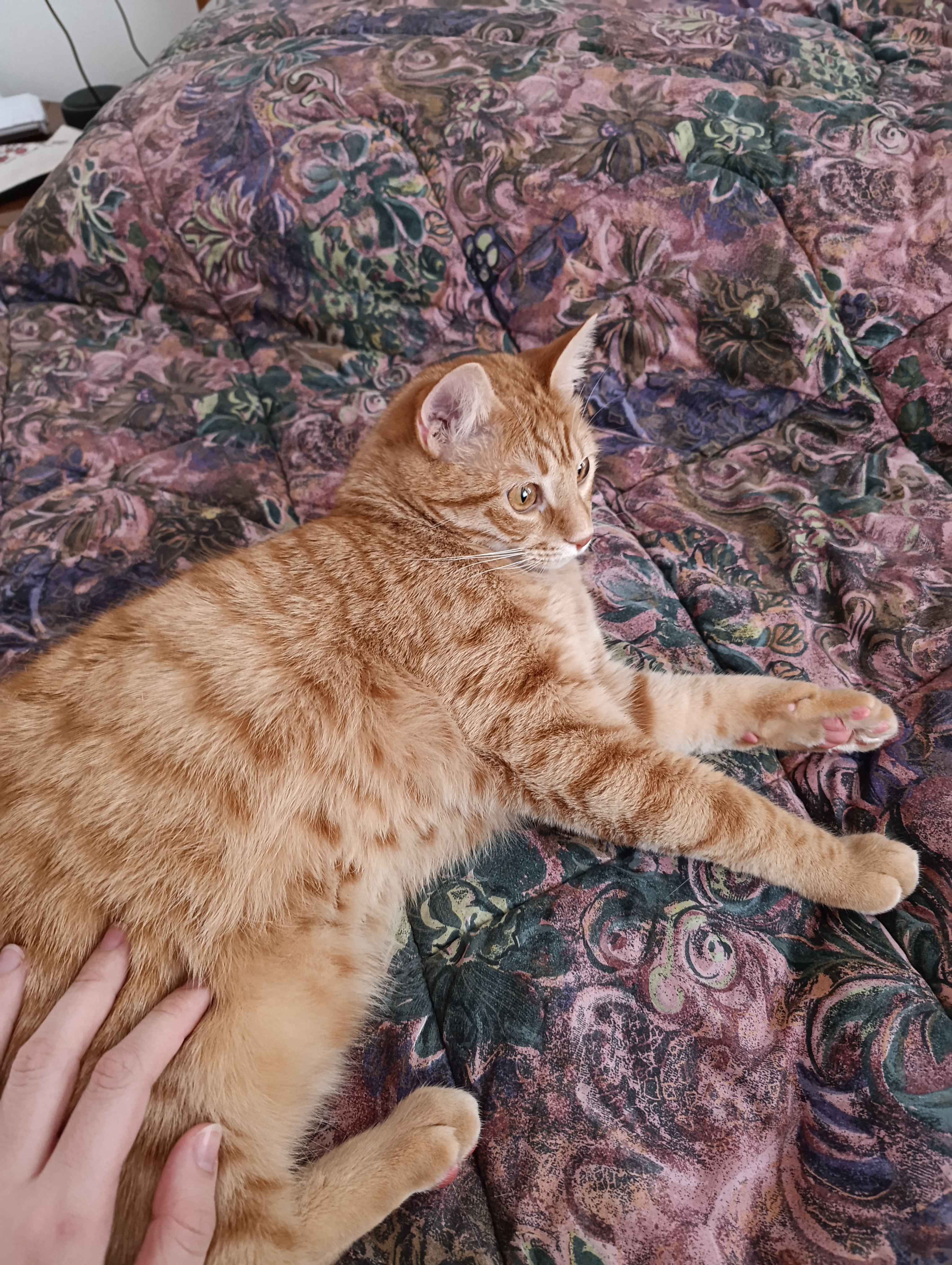 image-6