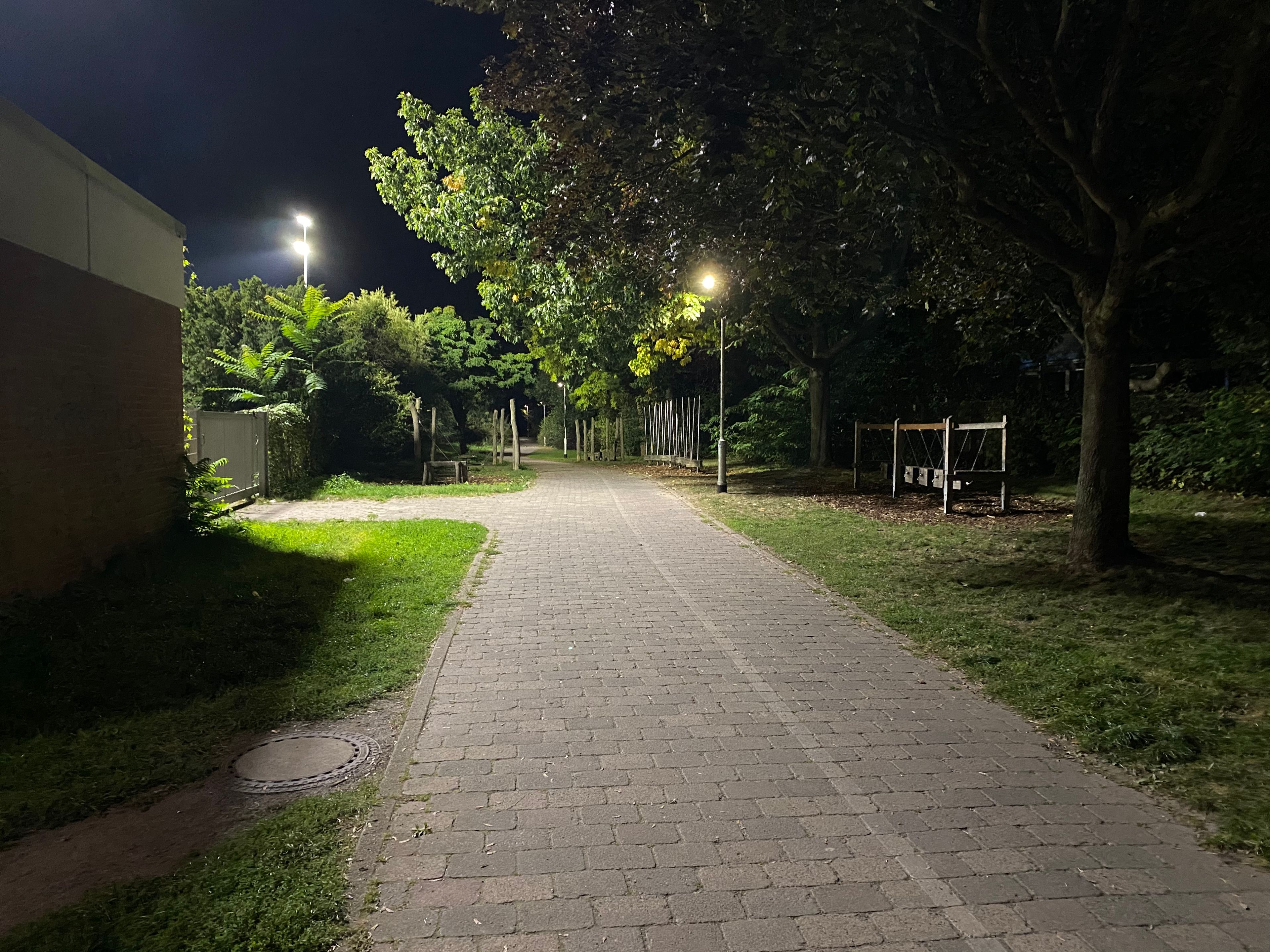 image-12