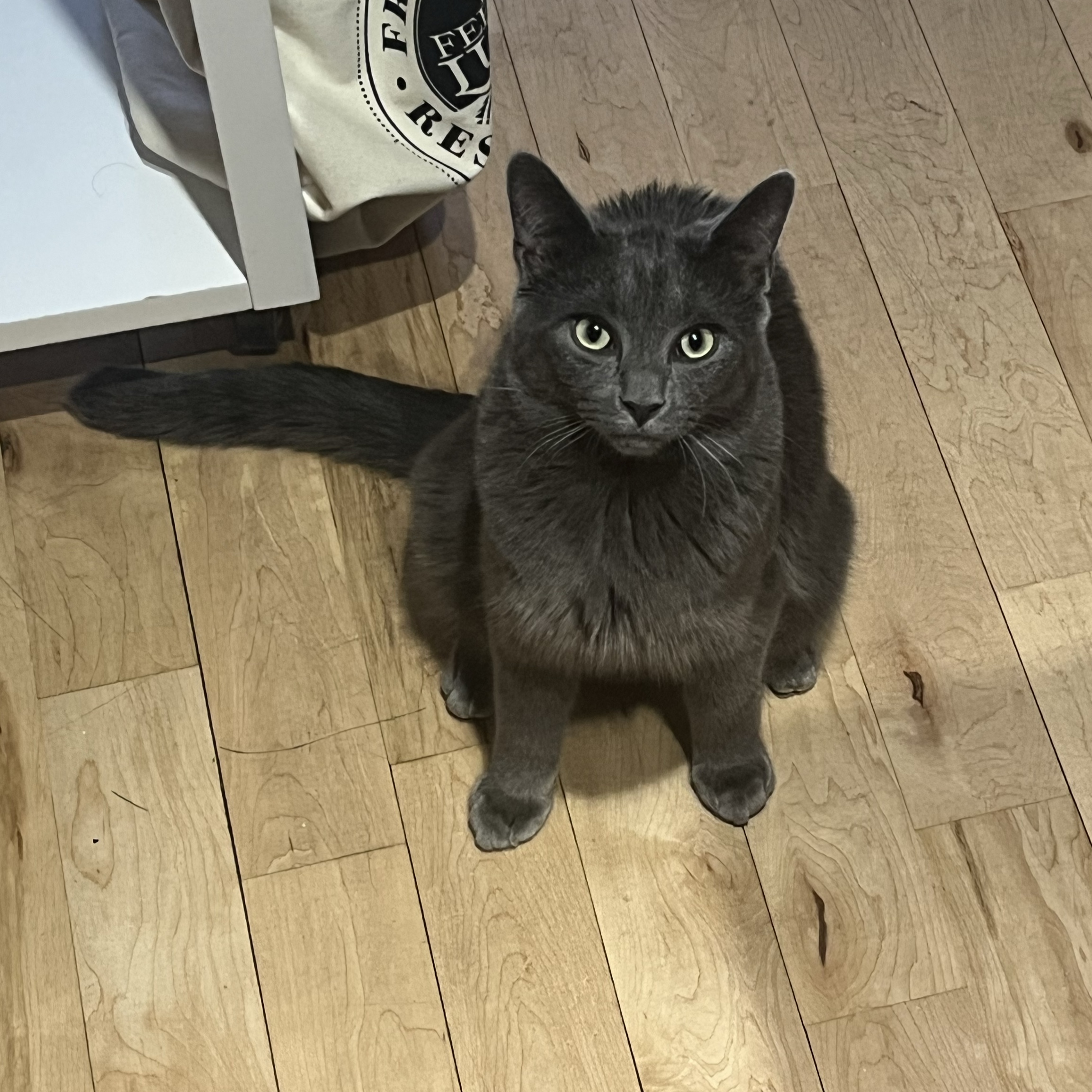 Alfie