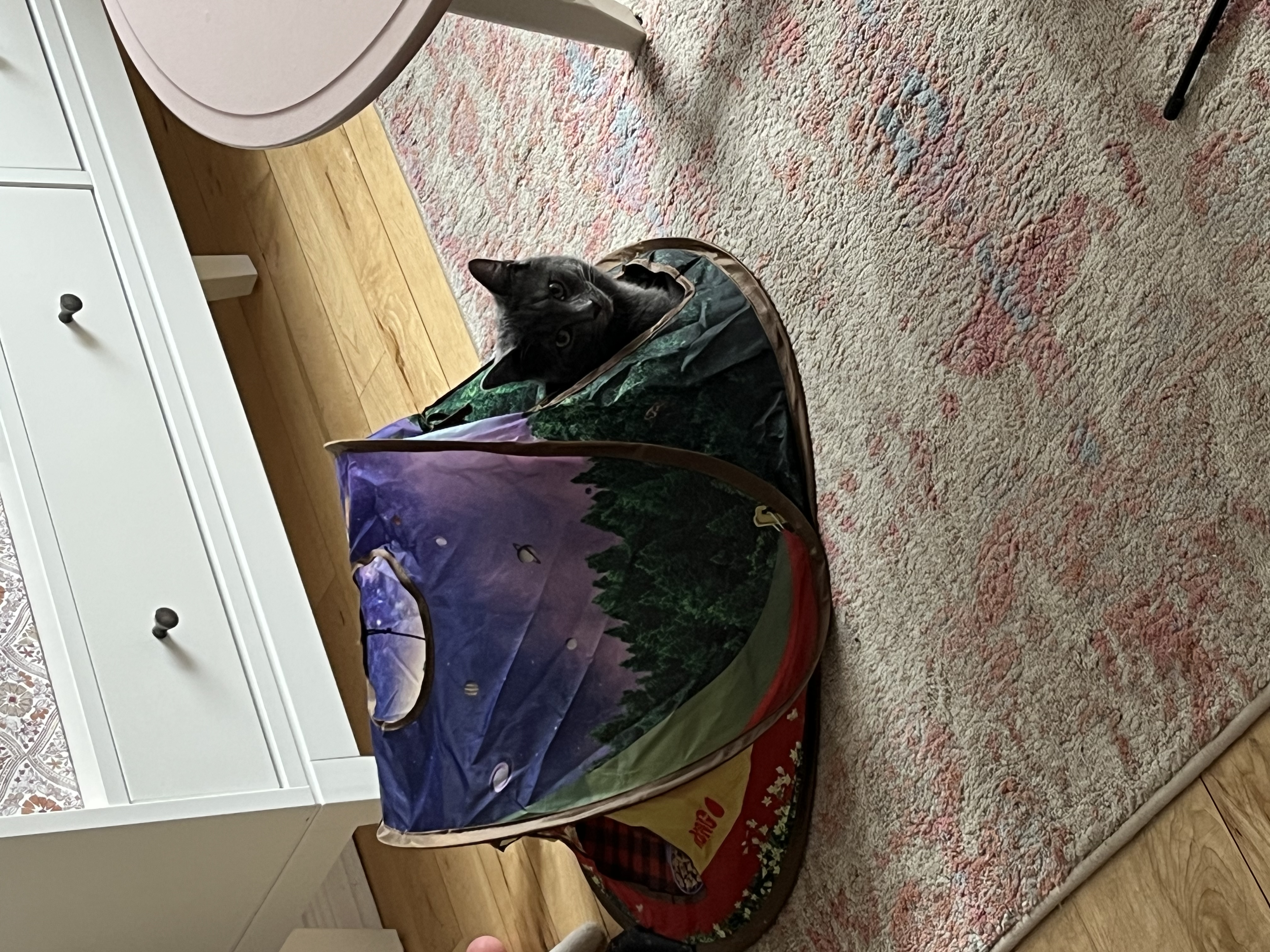 image-5