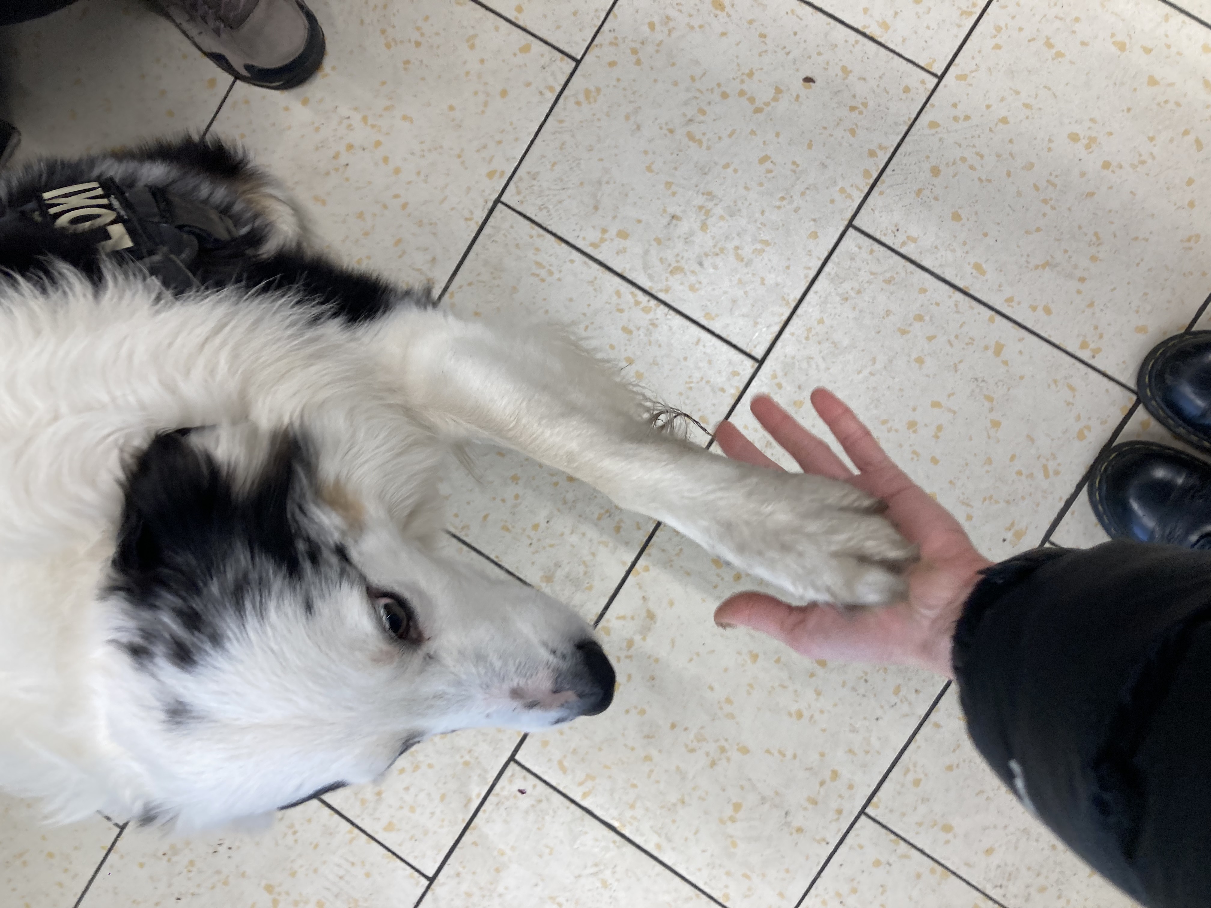 image-7